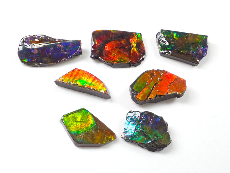 1 stone ammolite from Canada《Multiple purchase discount available》