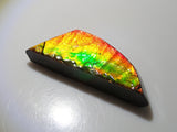 1 stone ammolite from Canada《Multiple purchase discount available》