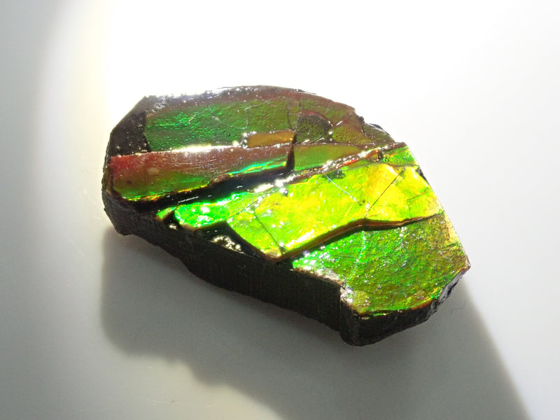 1 stone ammolite from Canada《Multiple purchase discount available》