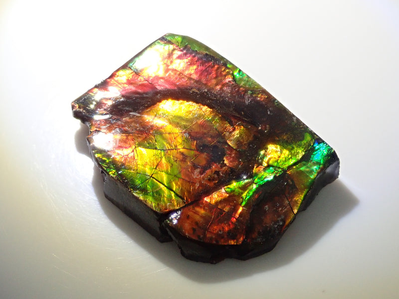 1 stone ammolite from Canada《Multiple purchase discount available》