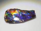 1 stone ammolite from Canada《Multiple purchase discount available》