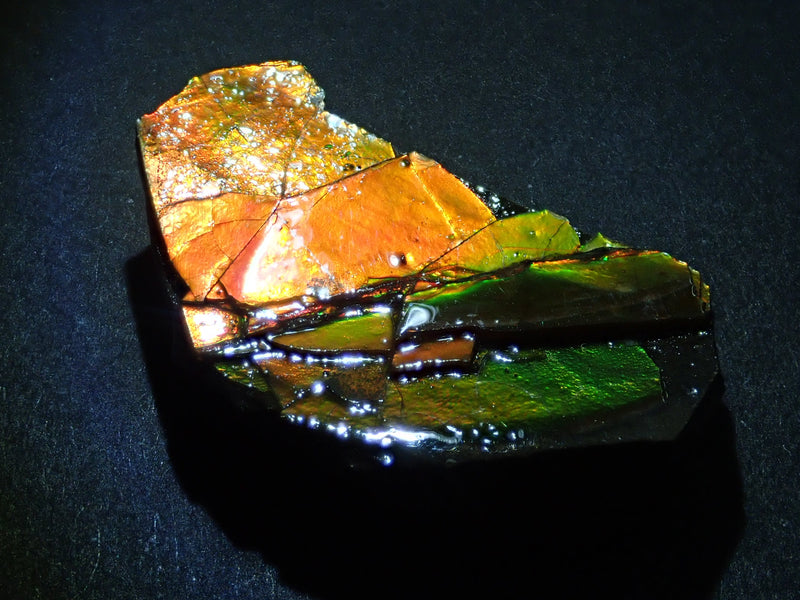 1 stone ammolite from Canada《Multiple purchase discount available》