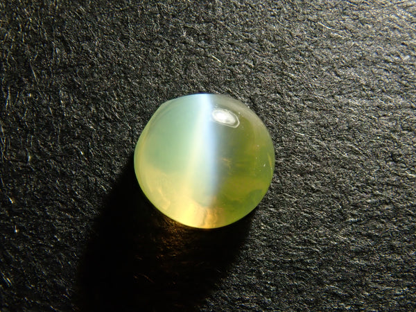 PA250071_grande.jpg?v=1729850638