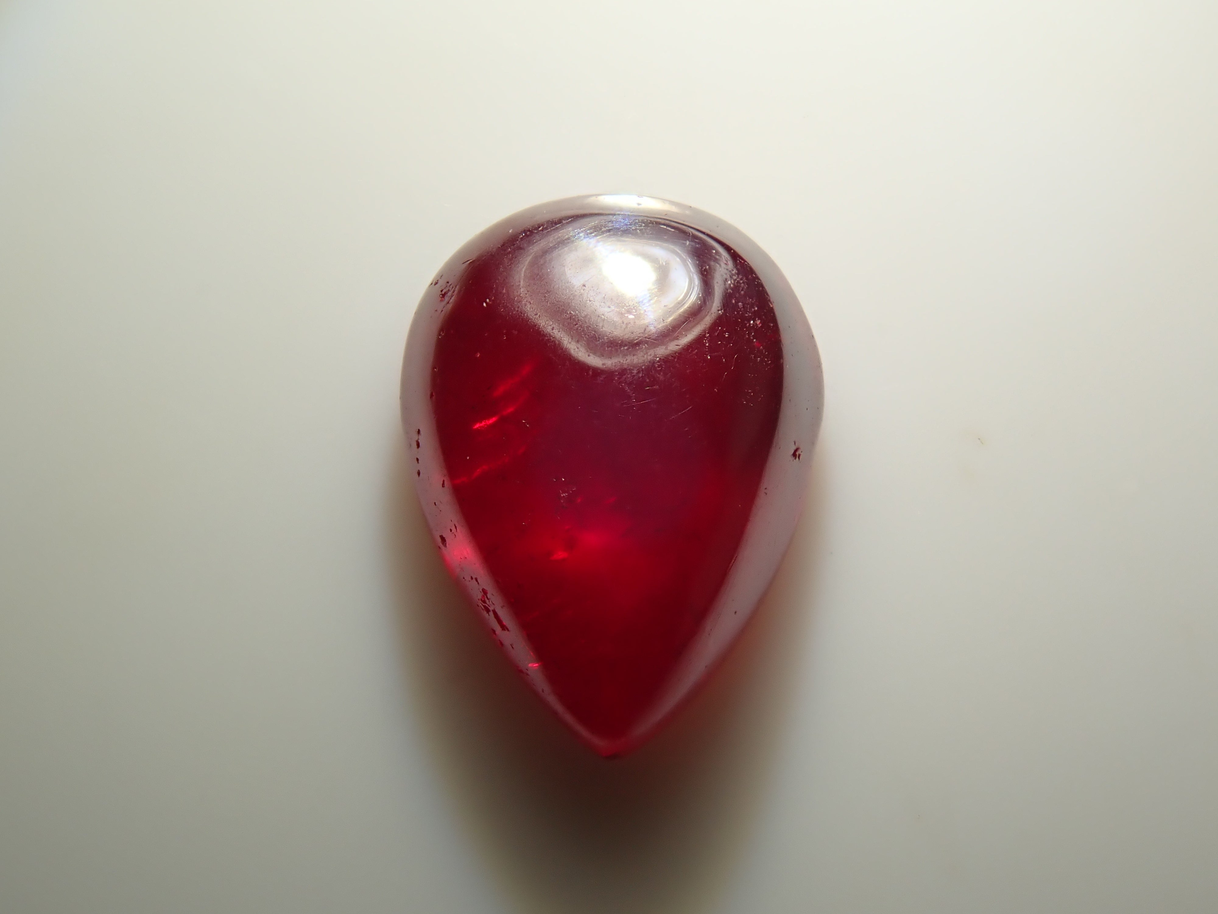 【新品】高知県　珊瑚　154g 新品】高知県 珊瑚 154g 2025年最新】土佐珊瑚の人気アイテム - メルカリ