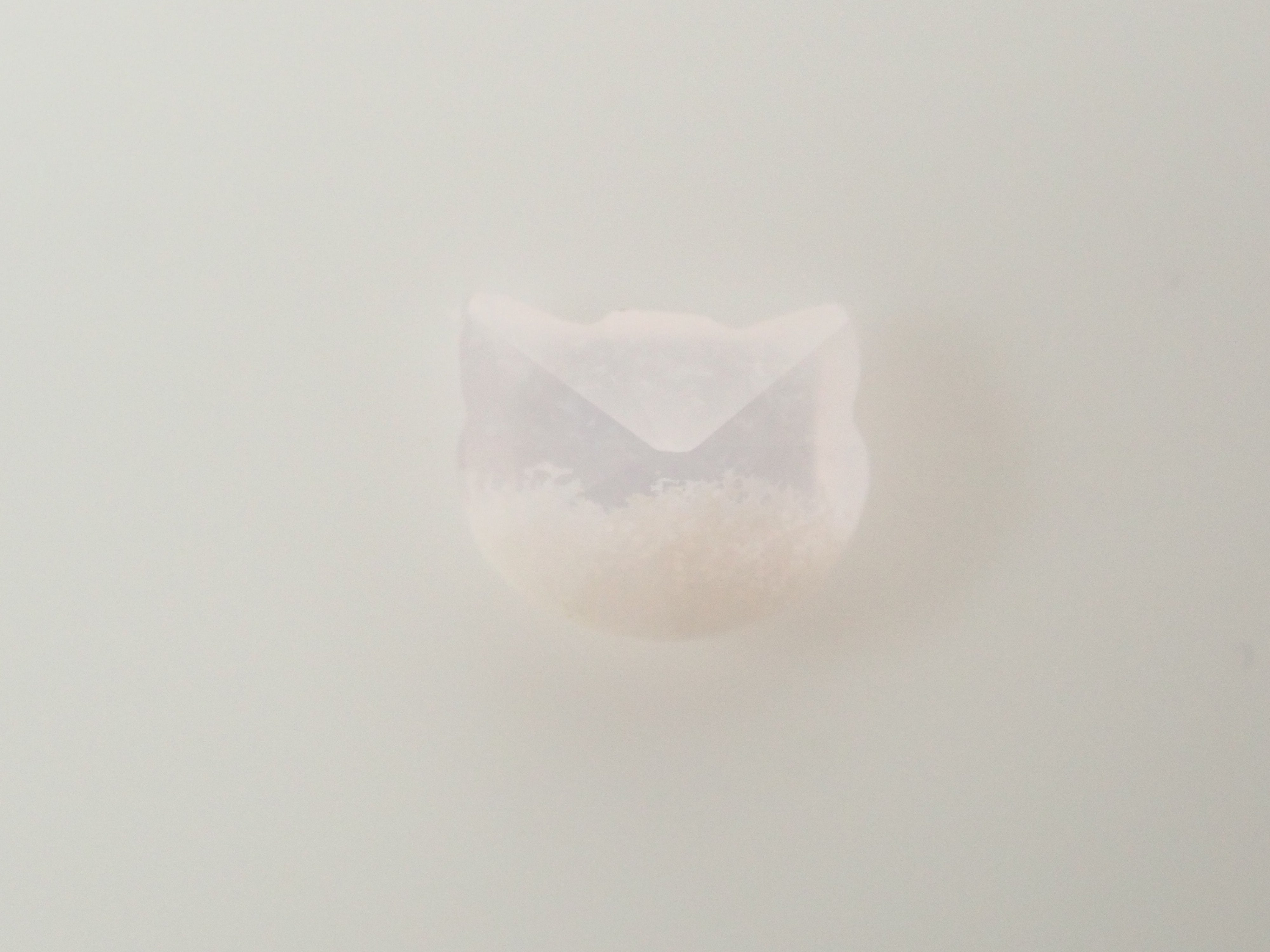 【11/14 22時販売】【猫カット】ブラジル産ホワイトカルセドニー 0.707ctルース