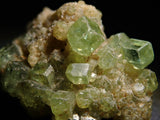 產自馬達加斯加的濃綠榴石石榴石 9.614 克拉原石