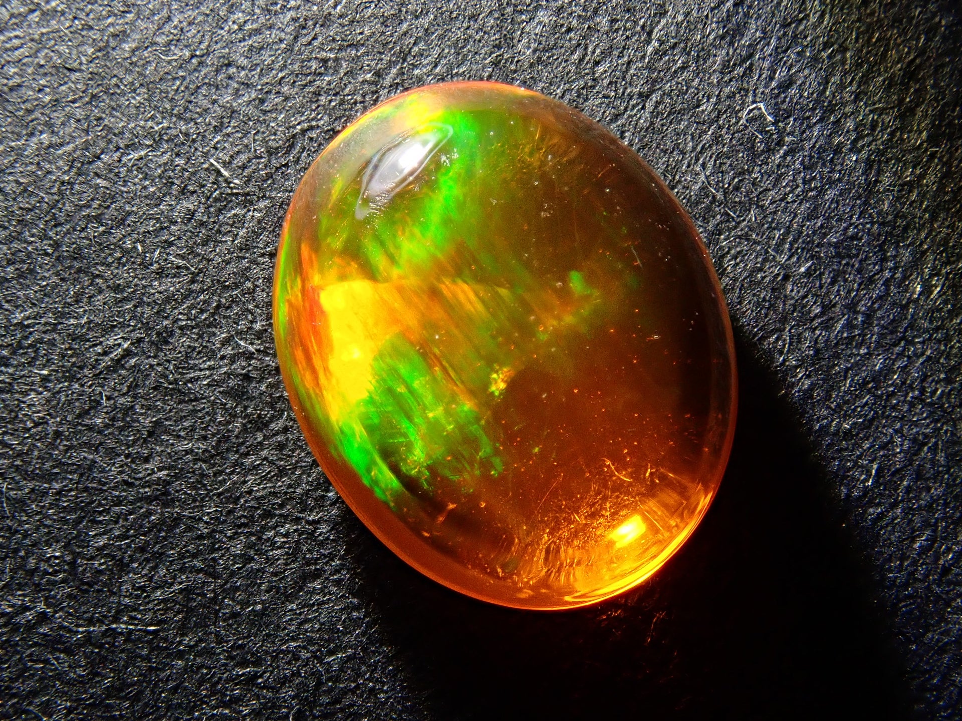 PB277036.jpg?v=1732702249&  