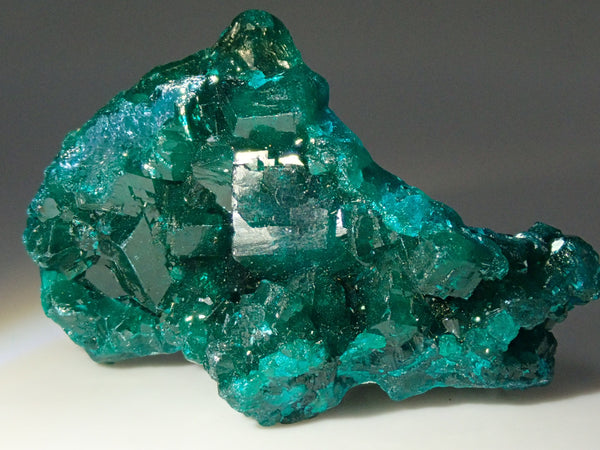 PB291468_grande.jpg?v=1736038073