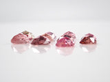 [Limited to 10 stones] 1 stone bicolor tourmaline from Brazil [Discount available for multiple purchases] (Rose cut, Mr. NOBU cut)