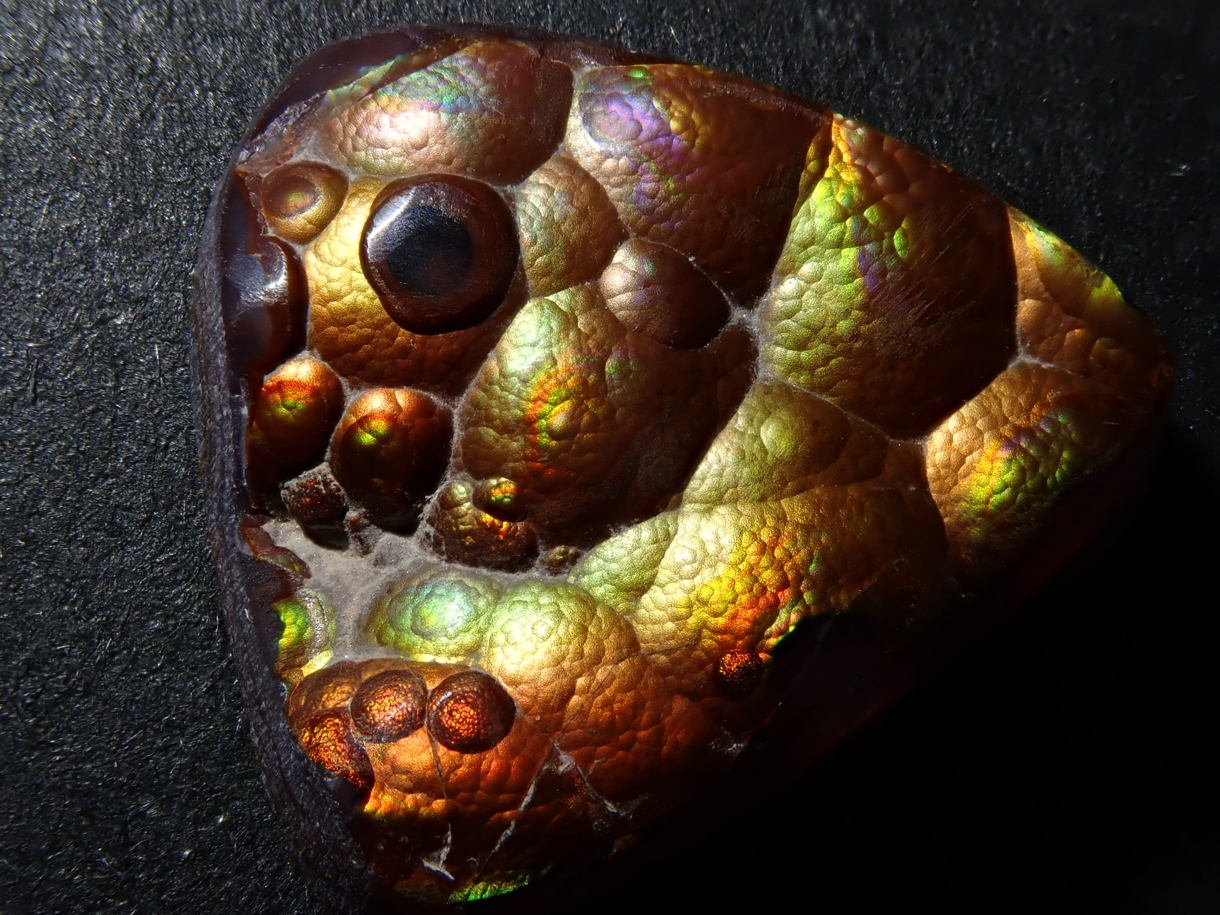 [12/6 22:00] Mexican Fire Agate 10.683ct Loose Stone