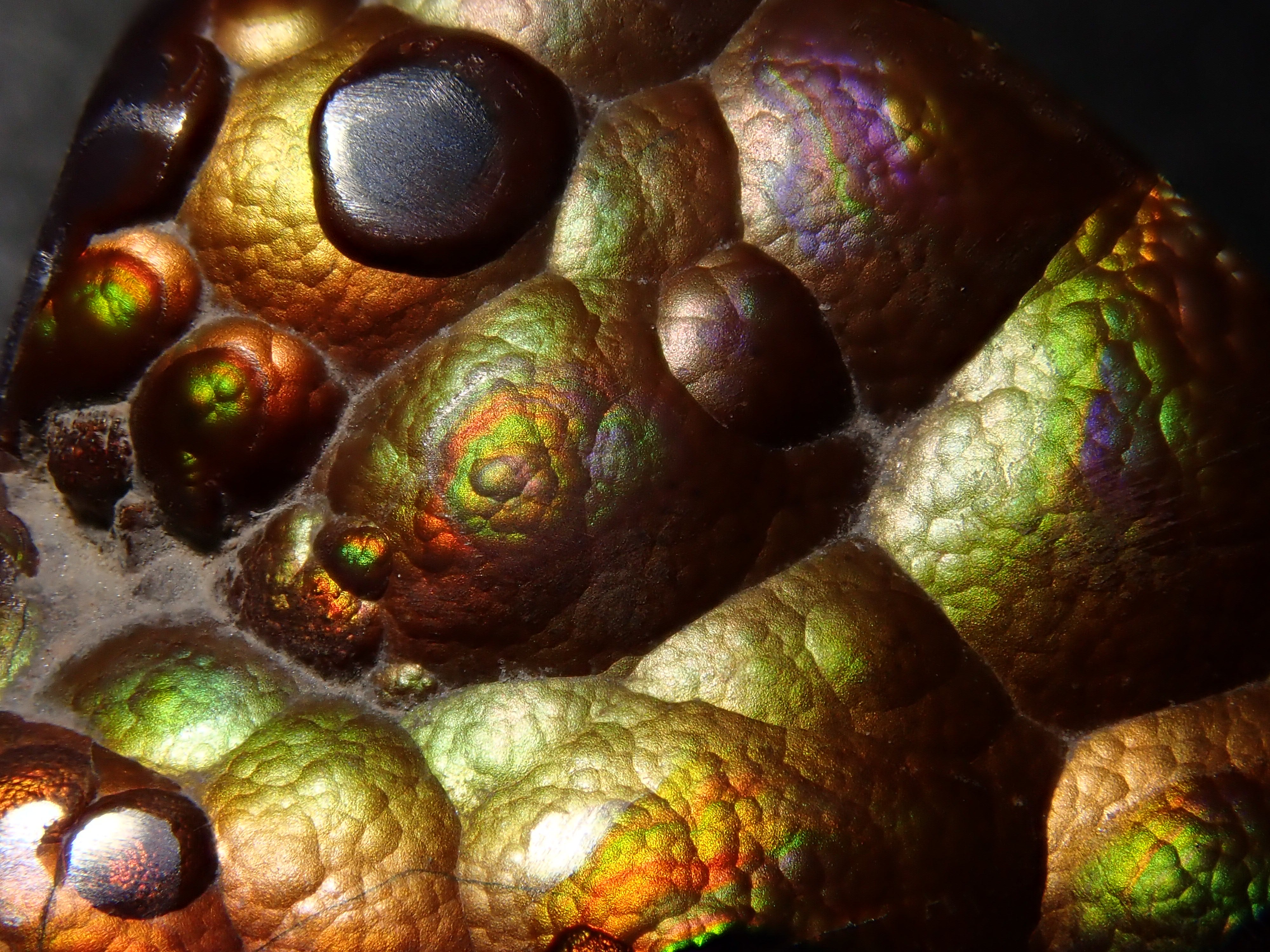 [12/6 22:00] Mexican Fire Agate 10.683ct Loose Stone