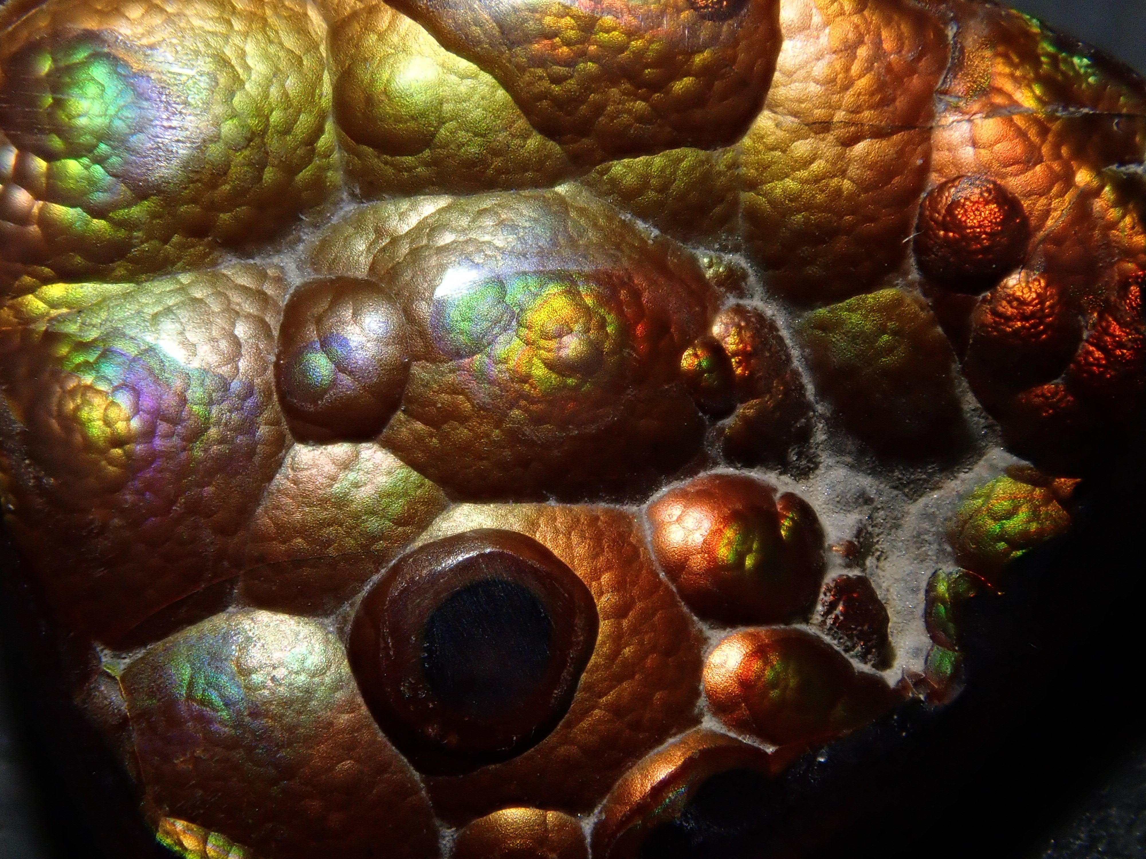 [12/6 22:00] Mexican Fire Agate 10.683ct Loose Stone