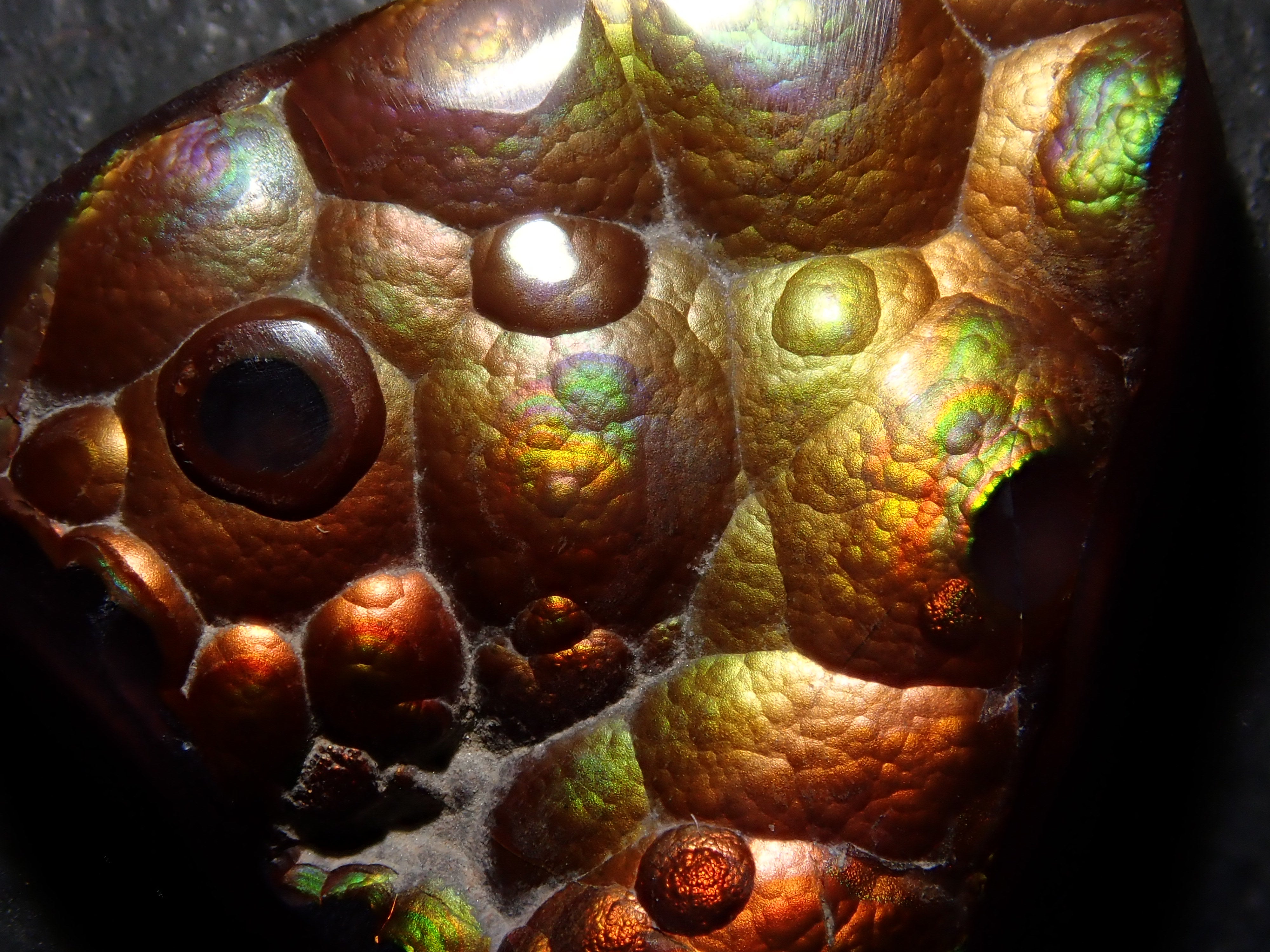 [12/6 22:00] Mexican Fire Agate 10.683ct Loose Stone