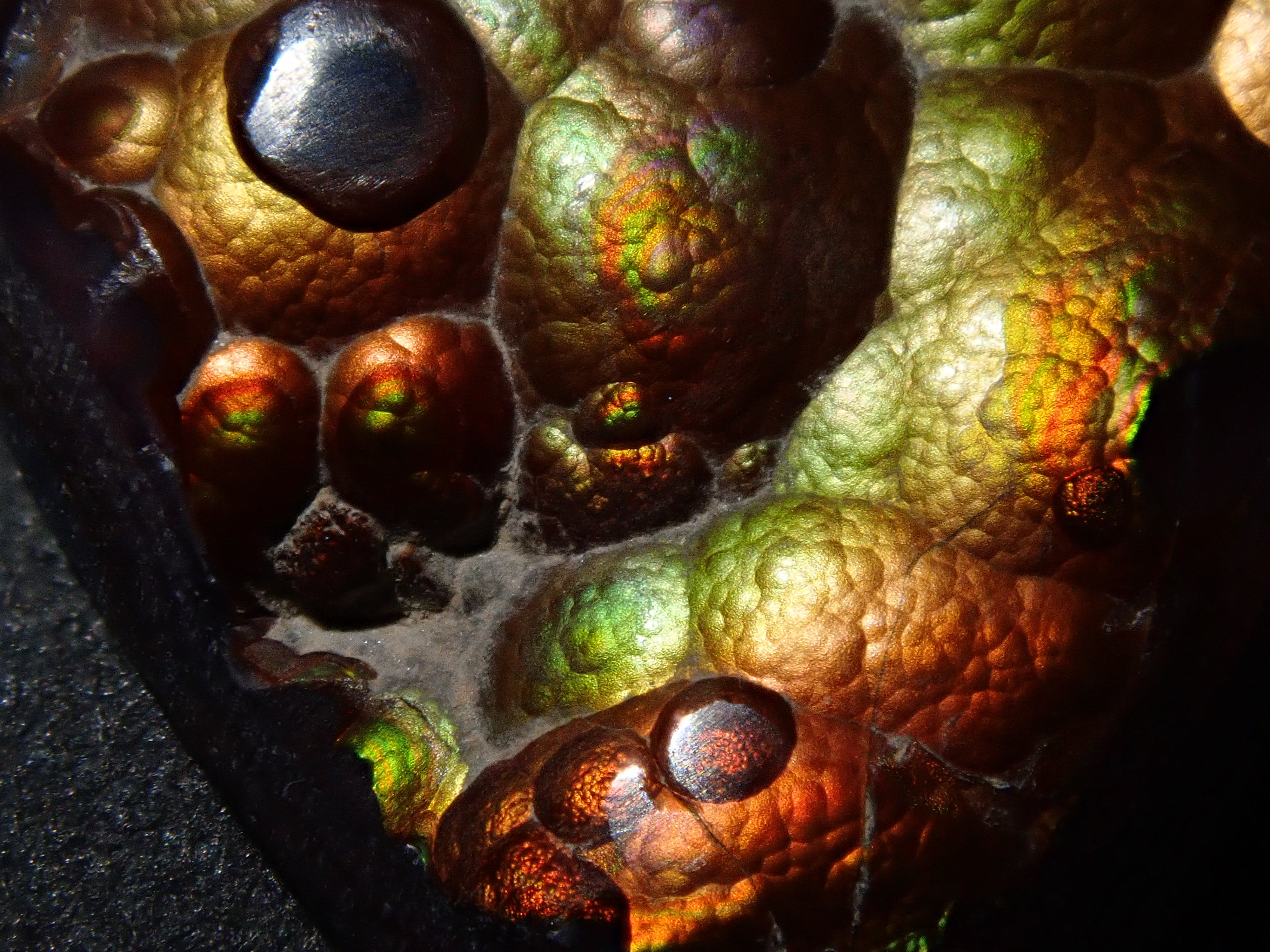 [12/6 22:00] Mexican Fire Agate 10.683ct Loose Stone