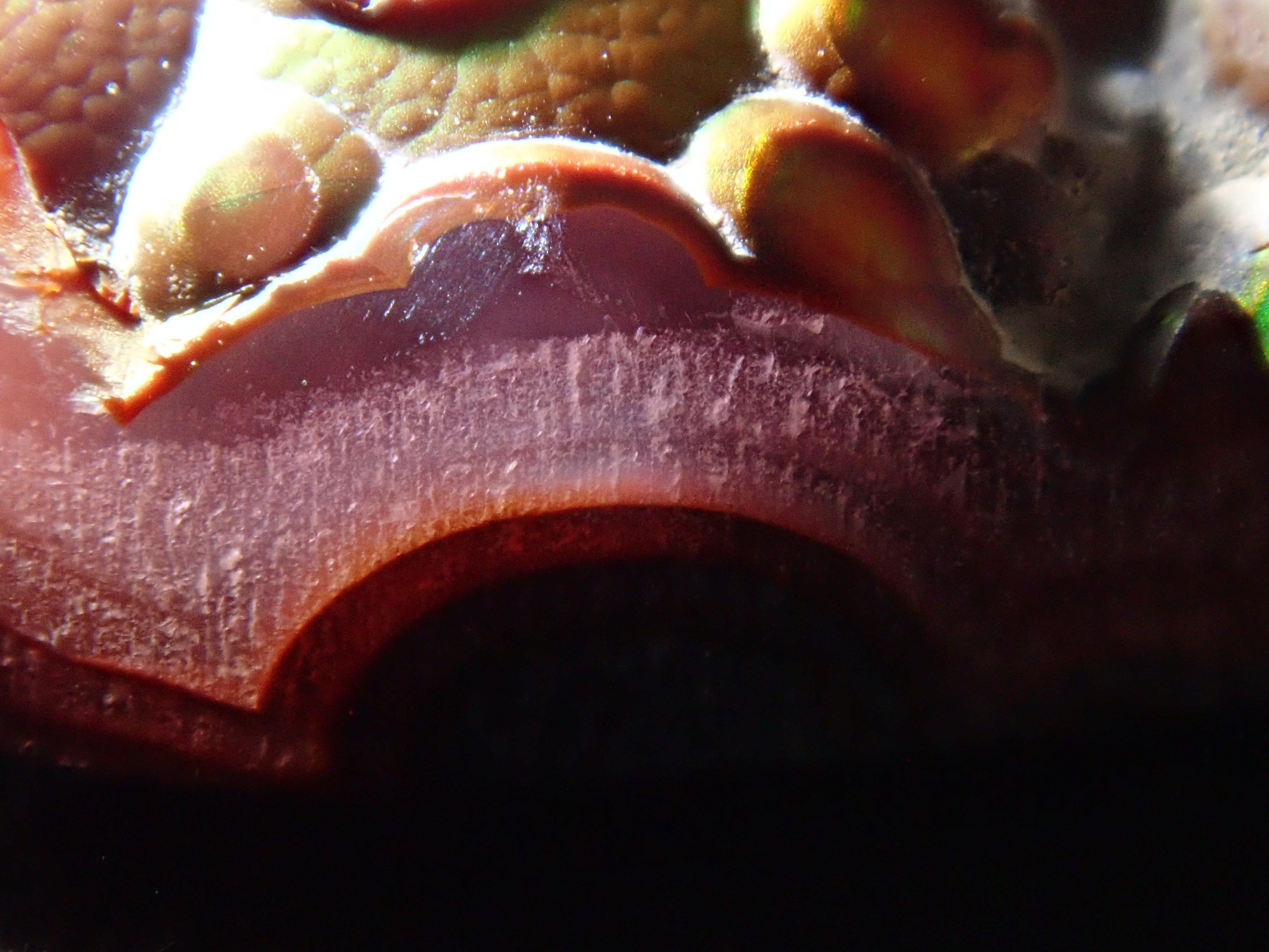 [12/6 22:00] Mexican Fire Agate 10.683ct Loose Stone