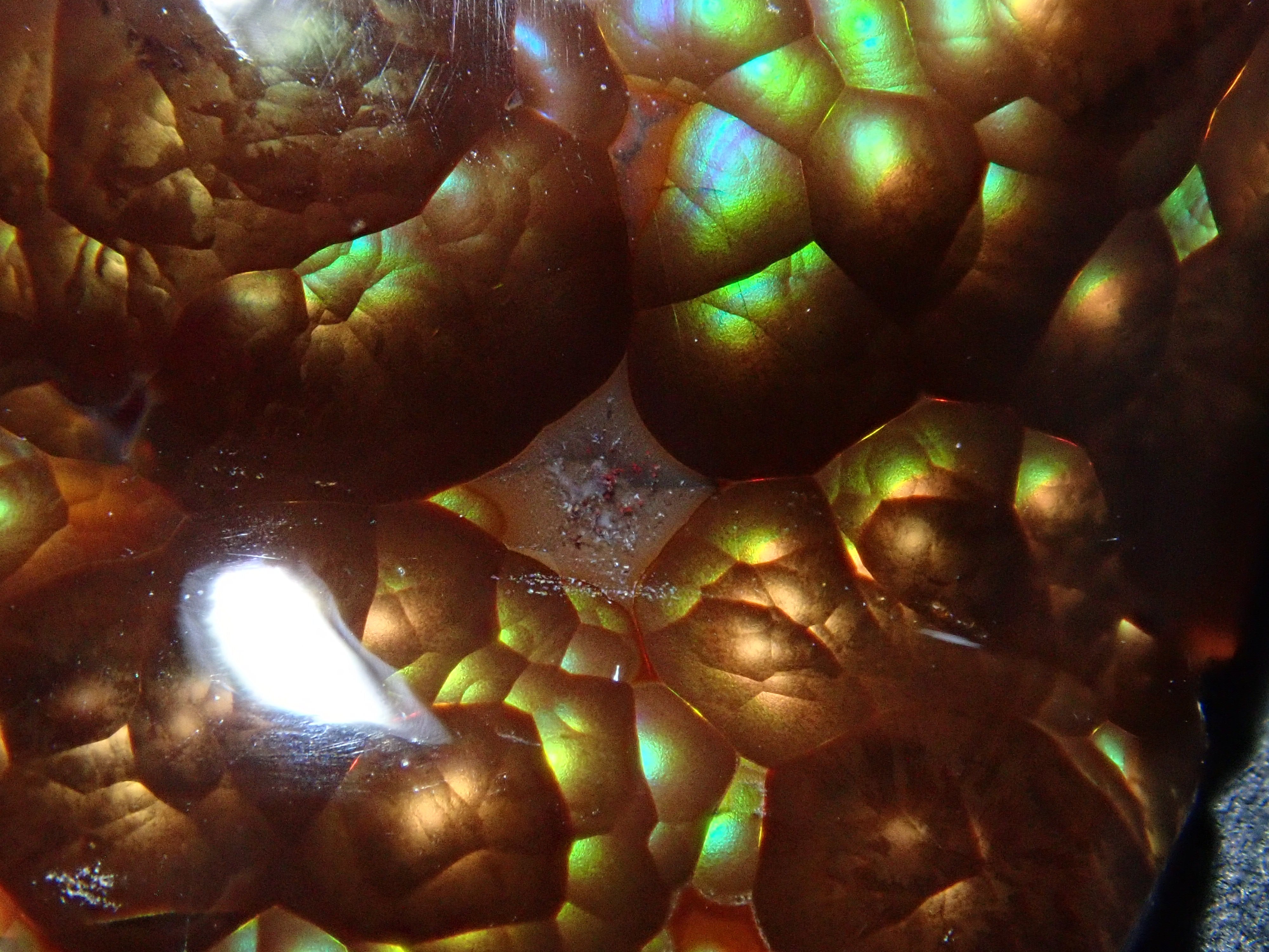 [12/6 22:00] Mexican Fire Agate 14.193ct Loose Stone