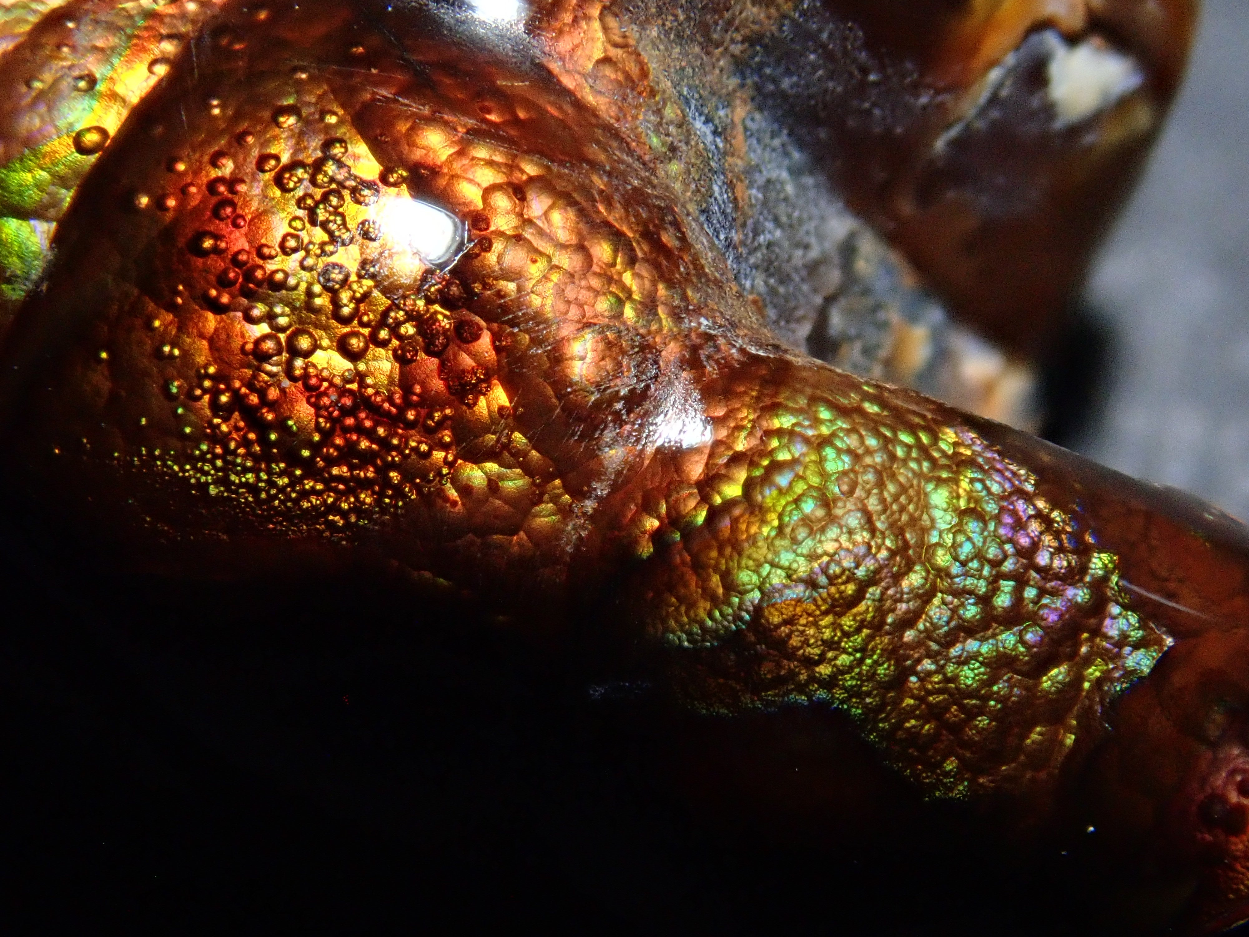 [12/6 22:00] Mexican Fire Agate 17.936ct Loose Stone