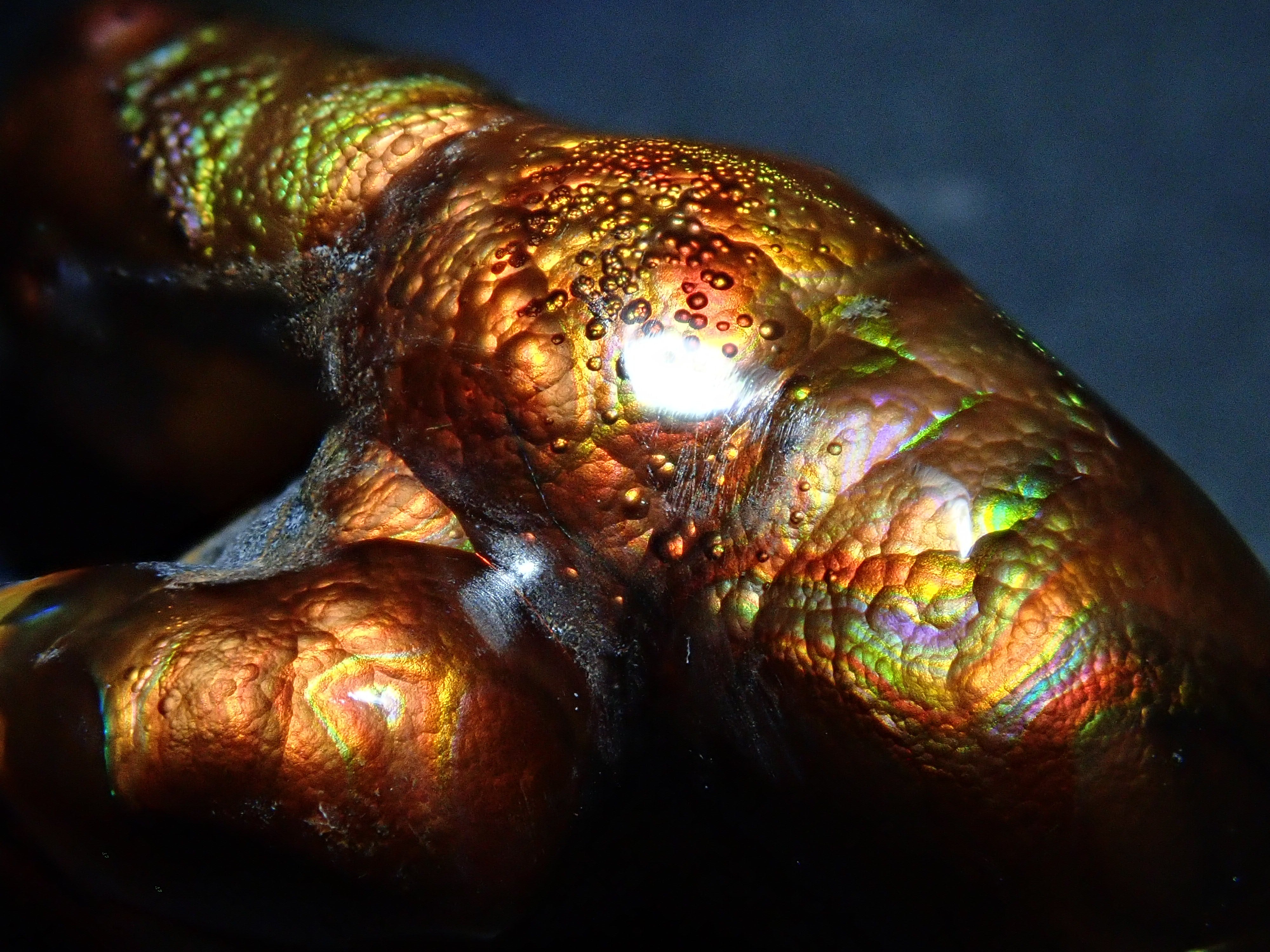 [12/6 22:00] Mexican Fire Agate 17.936ct Loose Stone