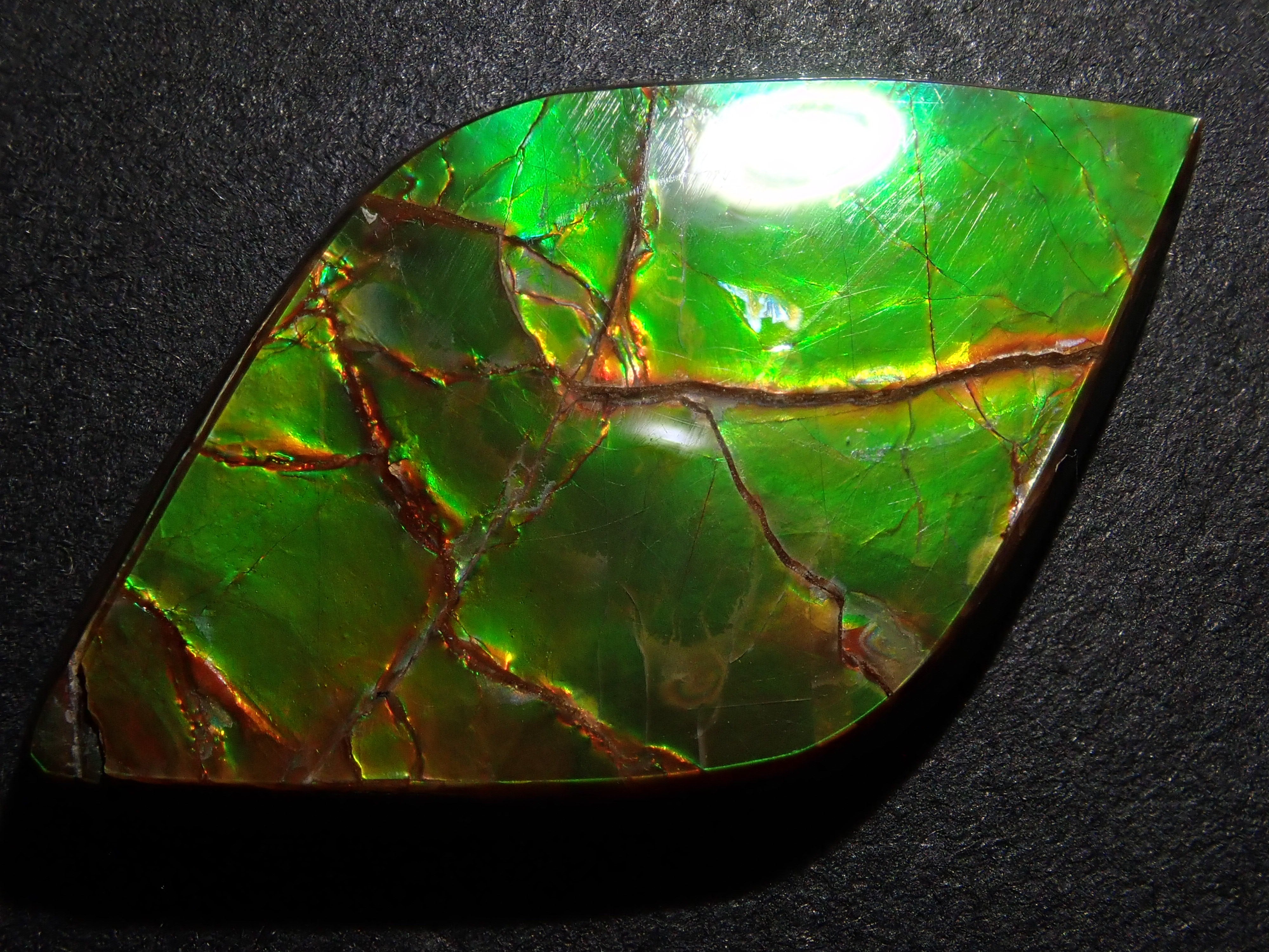 カナダ産アンモライト 17.043ctルース