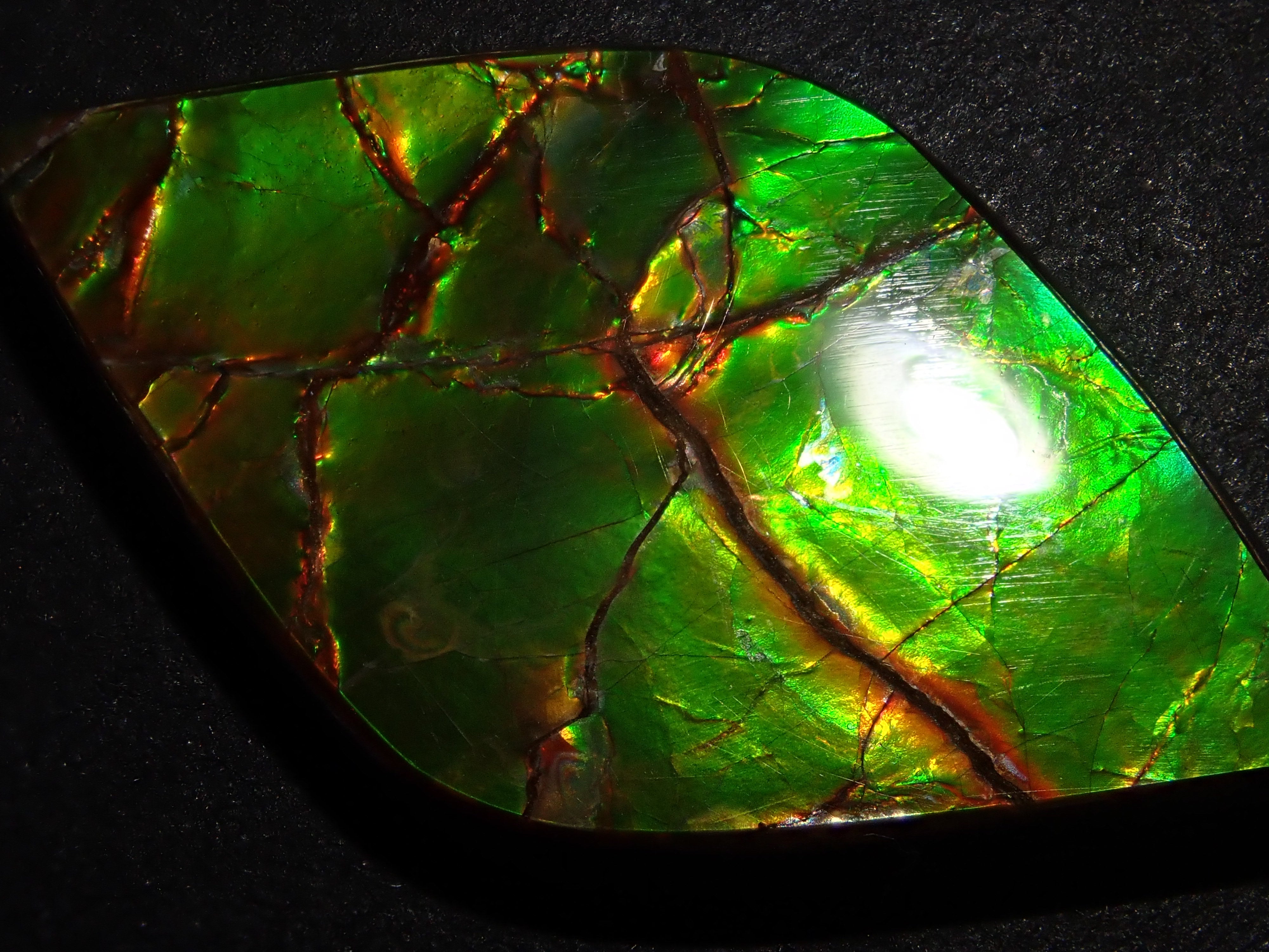 カナダ産アンモライト 17.043ctルース