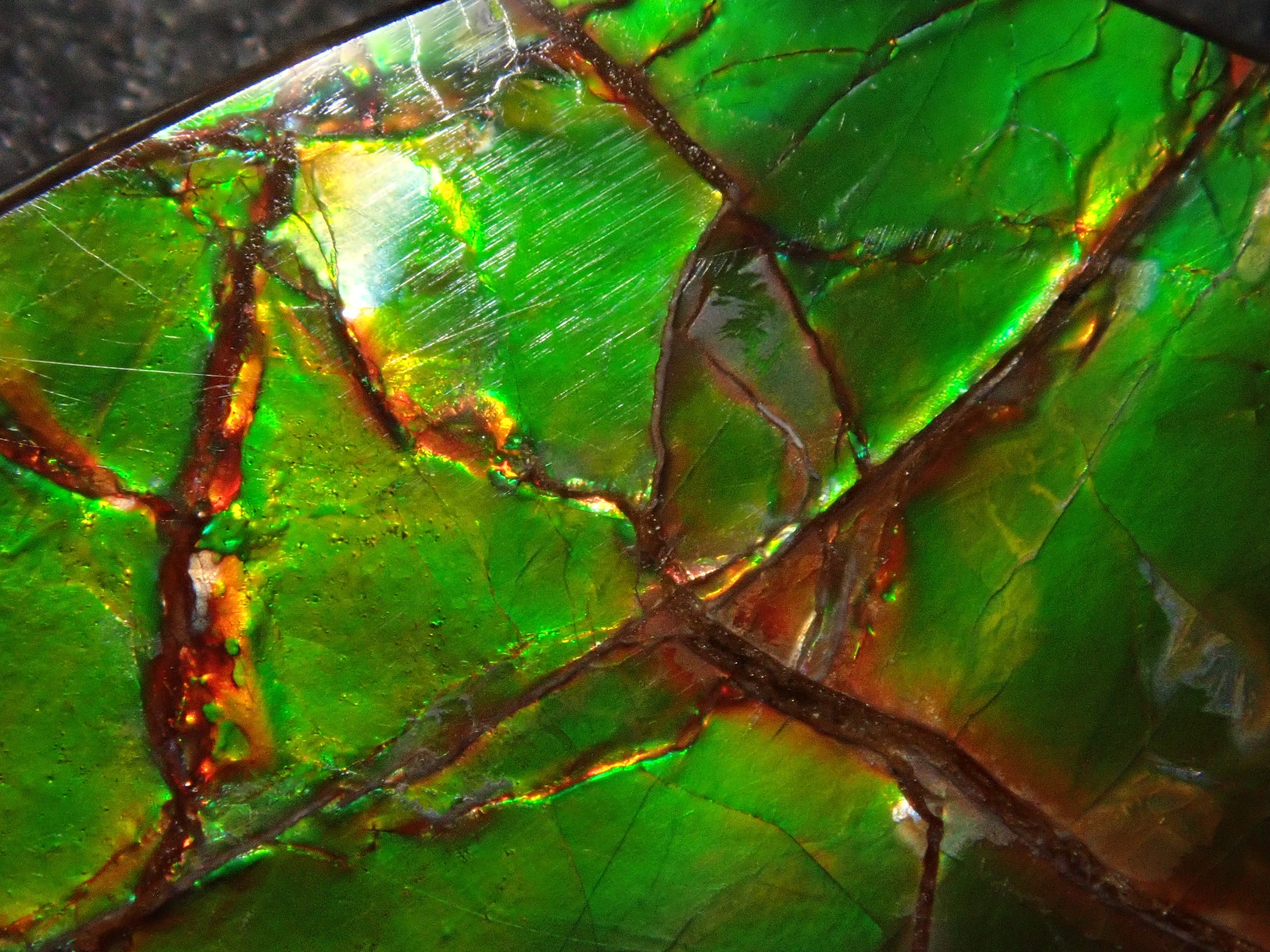 【12/6 22時販売】カナダ産アンモライト 17.043ctルース