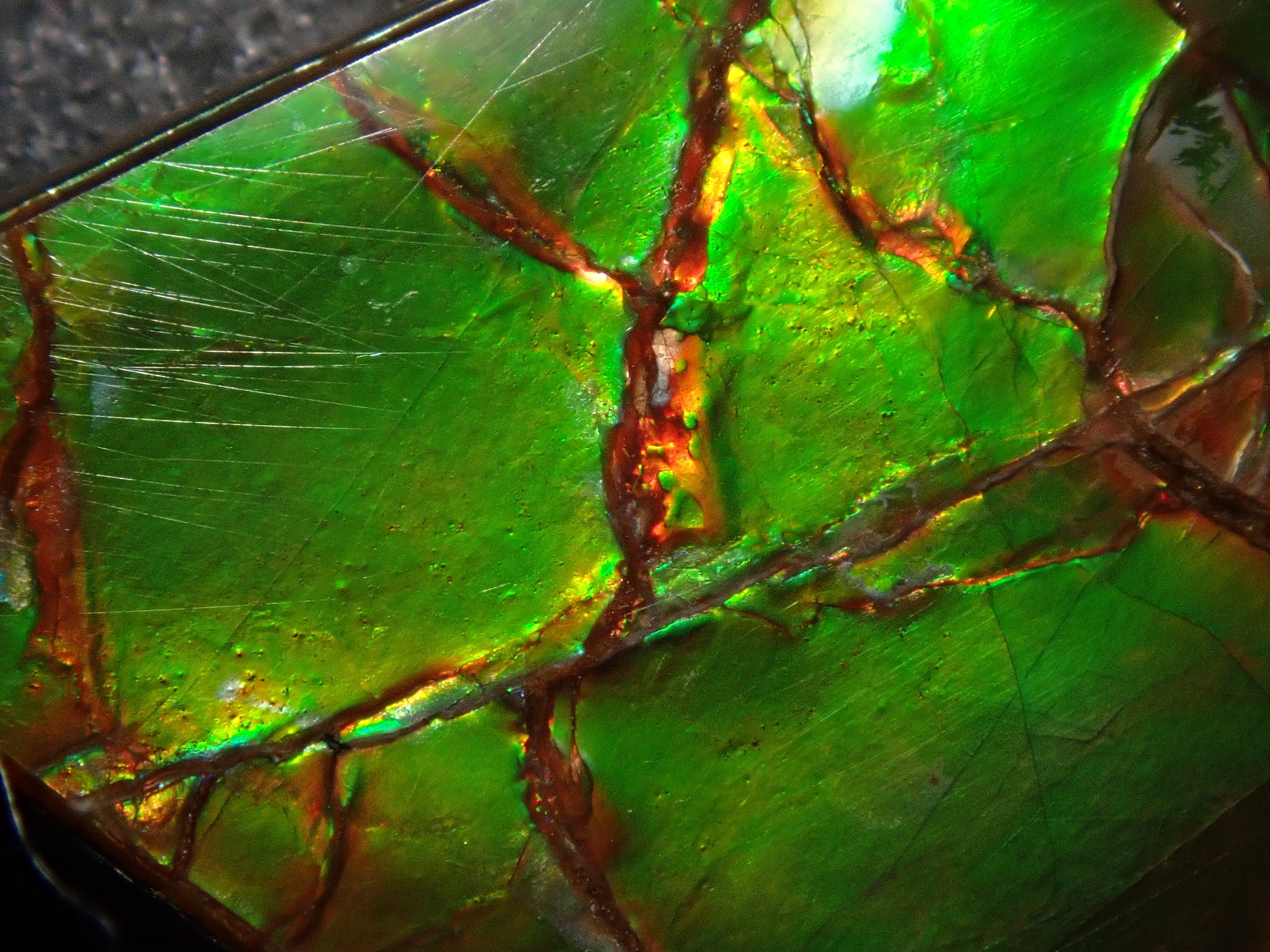 【12/6 22時販売】カナダ産アンモライト 17.043ctルース