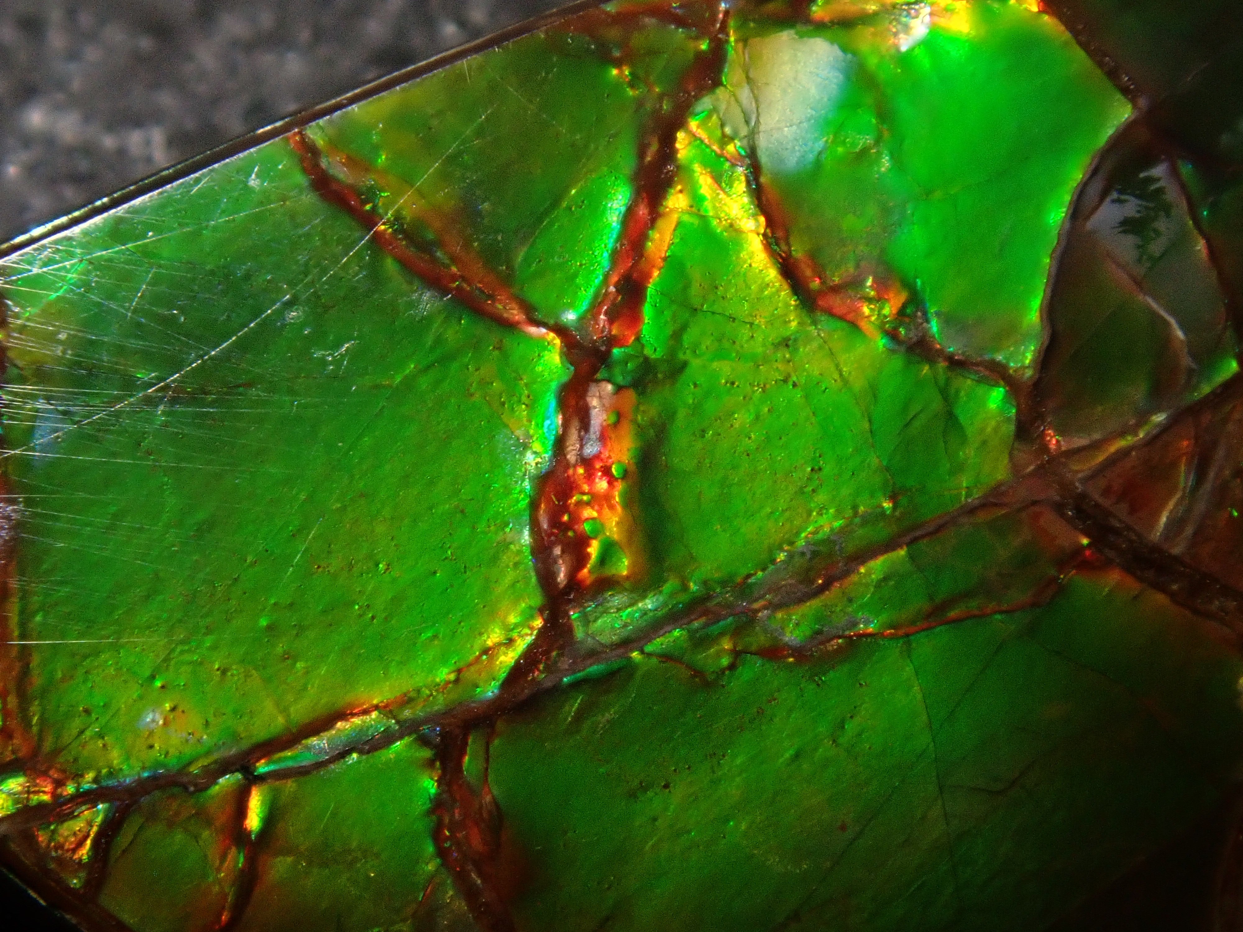 【12/6 22時販売】カナダ産アンモライト 17.043ctルース