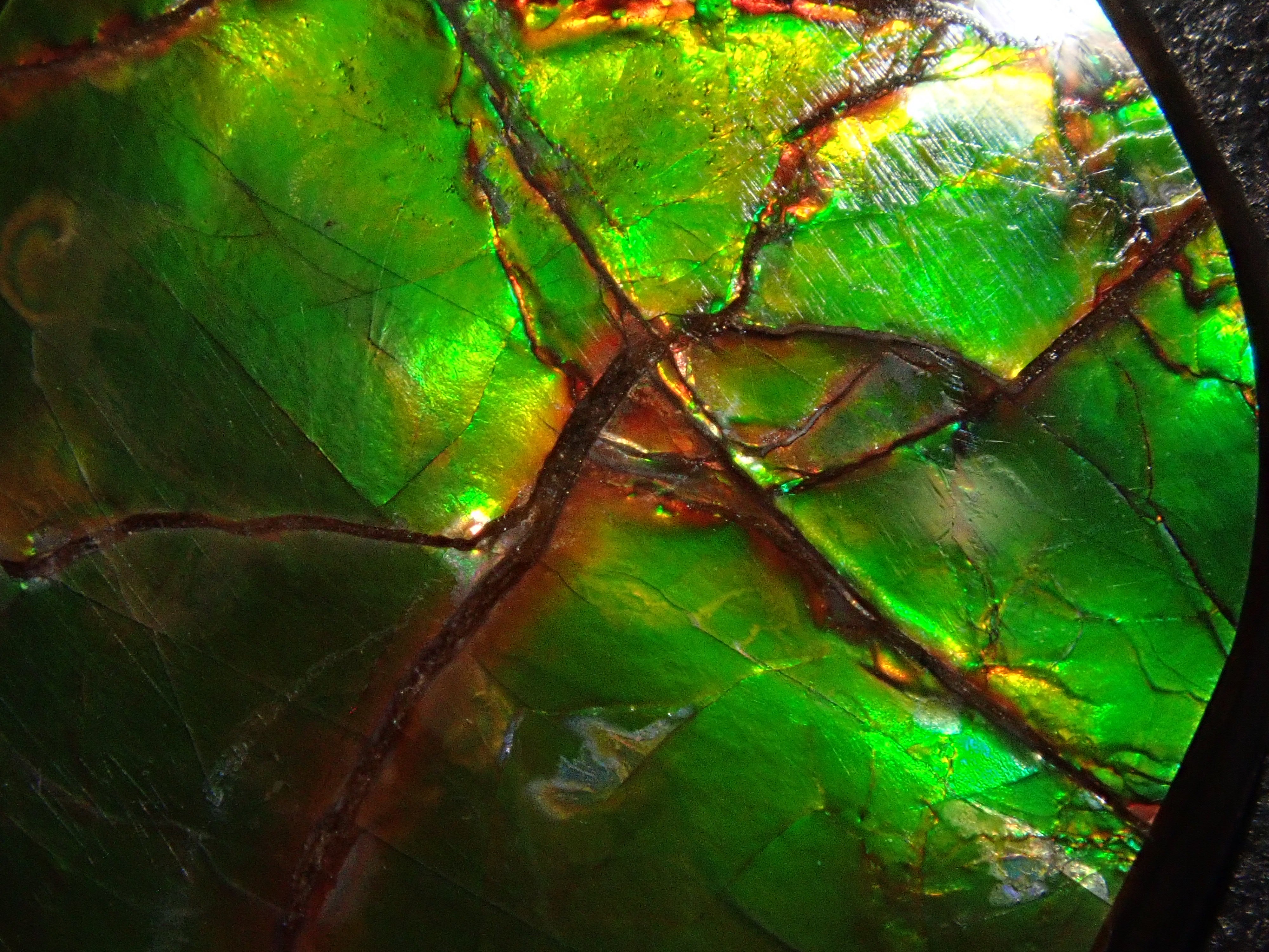 【12/6 22時販売】カナダ産アンモライト 17.043ctルース