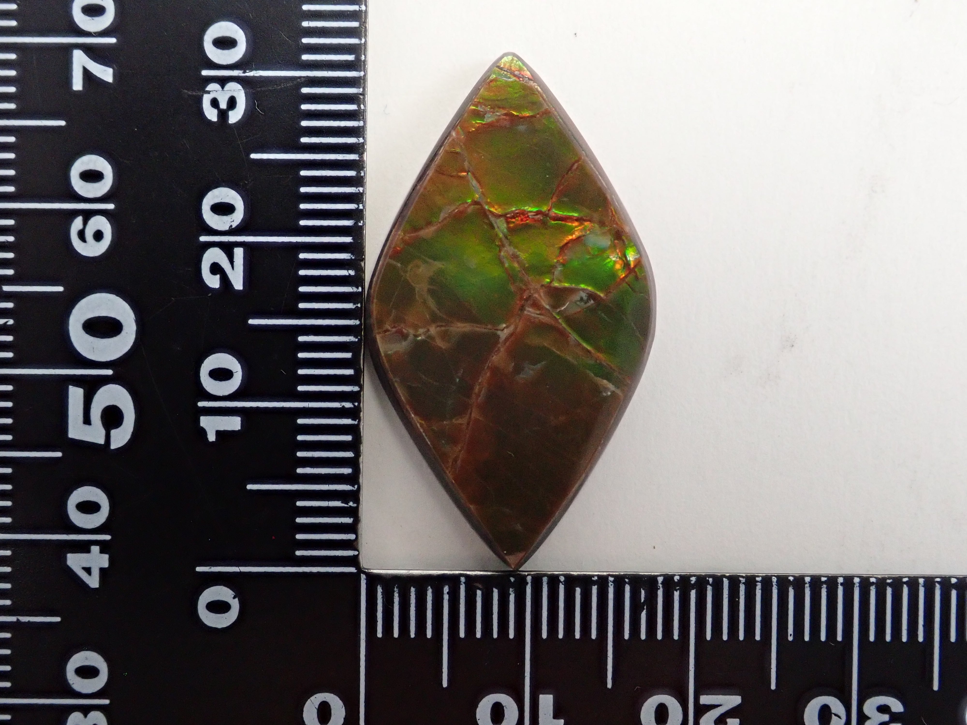 【12/6 22時販売】カナダ産アンモライト 17.043ctルース