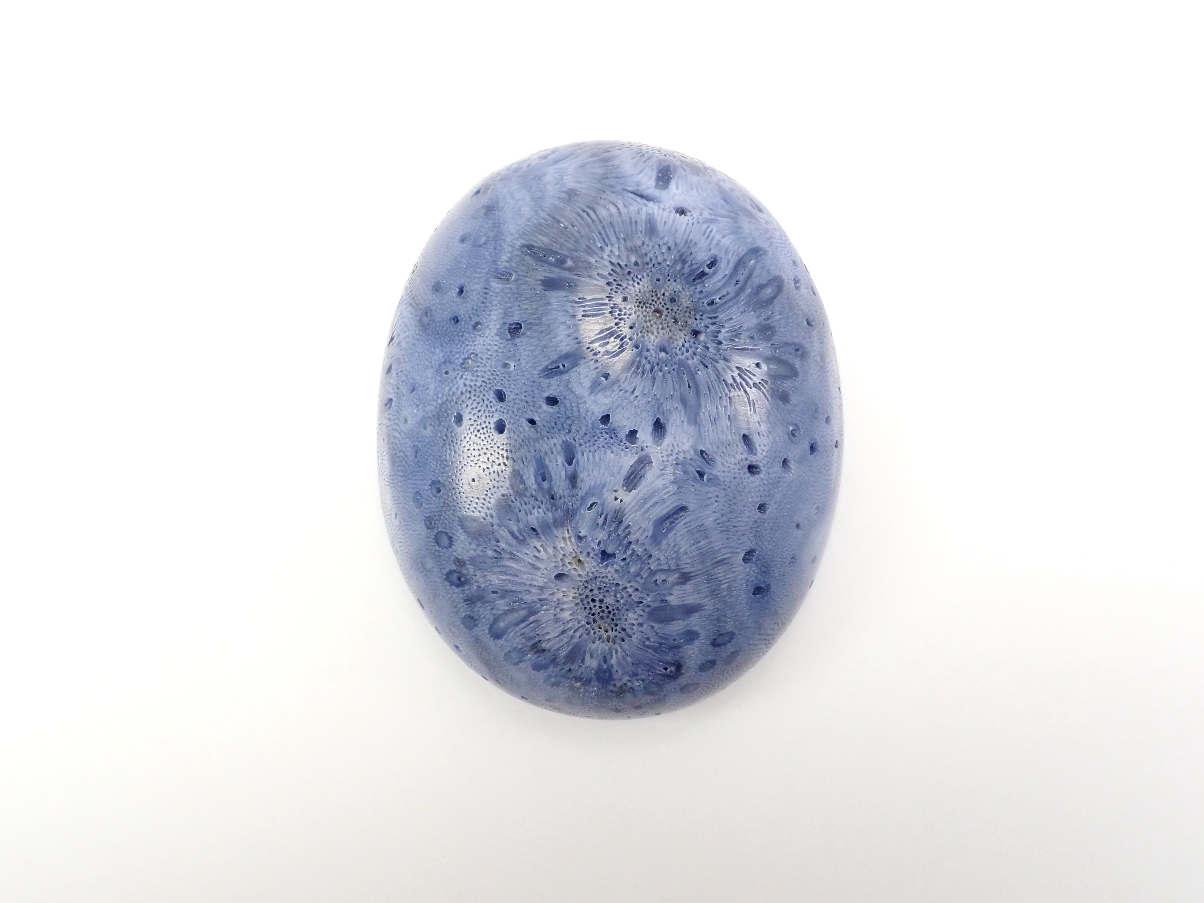 [12/6 22:00 Sale] Blue Coral (75.469ct) Loose Stone