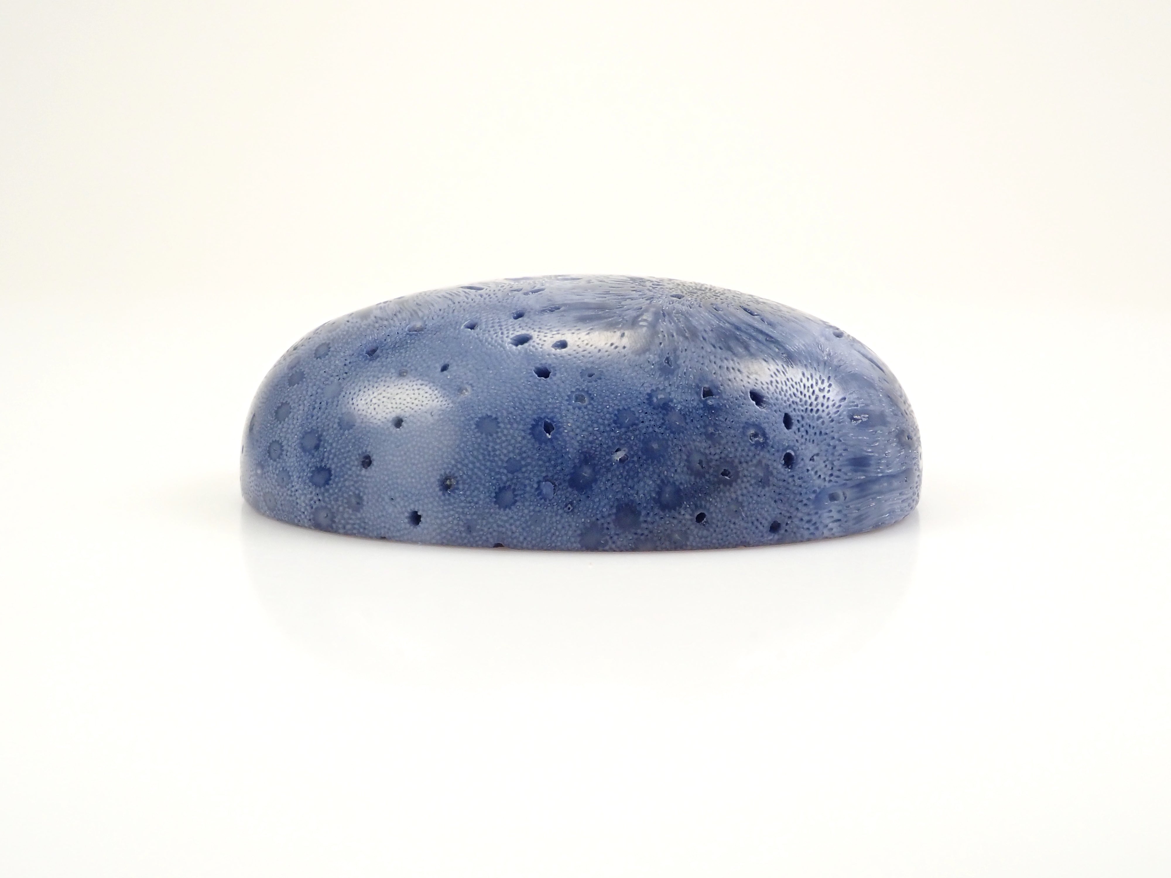 ブルーさんご (青珊瑚) 75.469ctルース