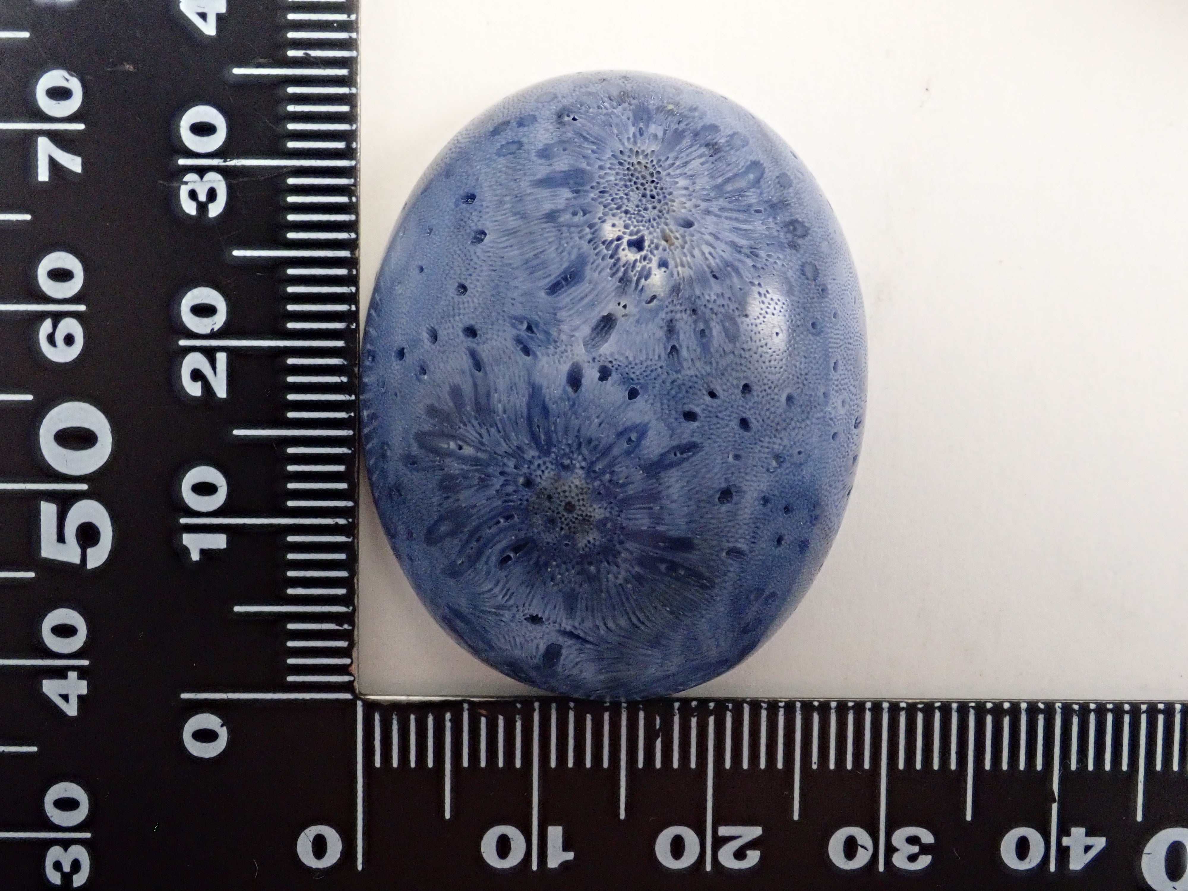 [12/6 22:00 Sale] Blue Coral (75.469ct) Loose Stone