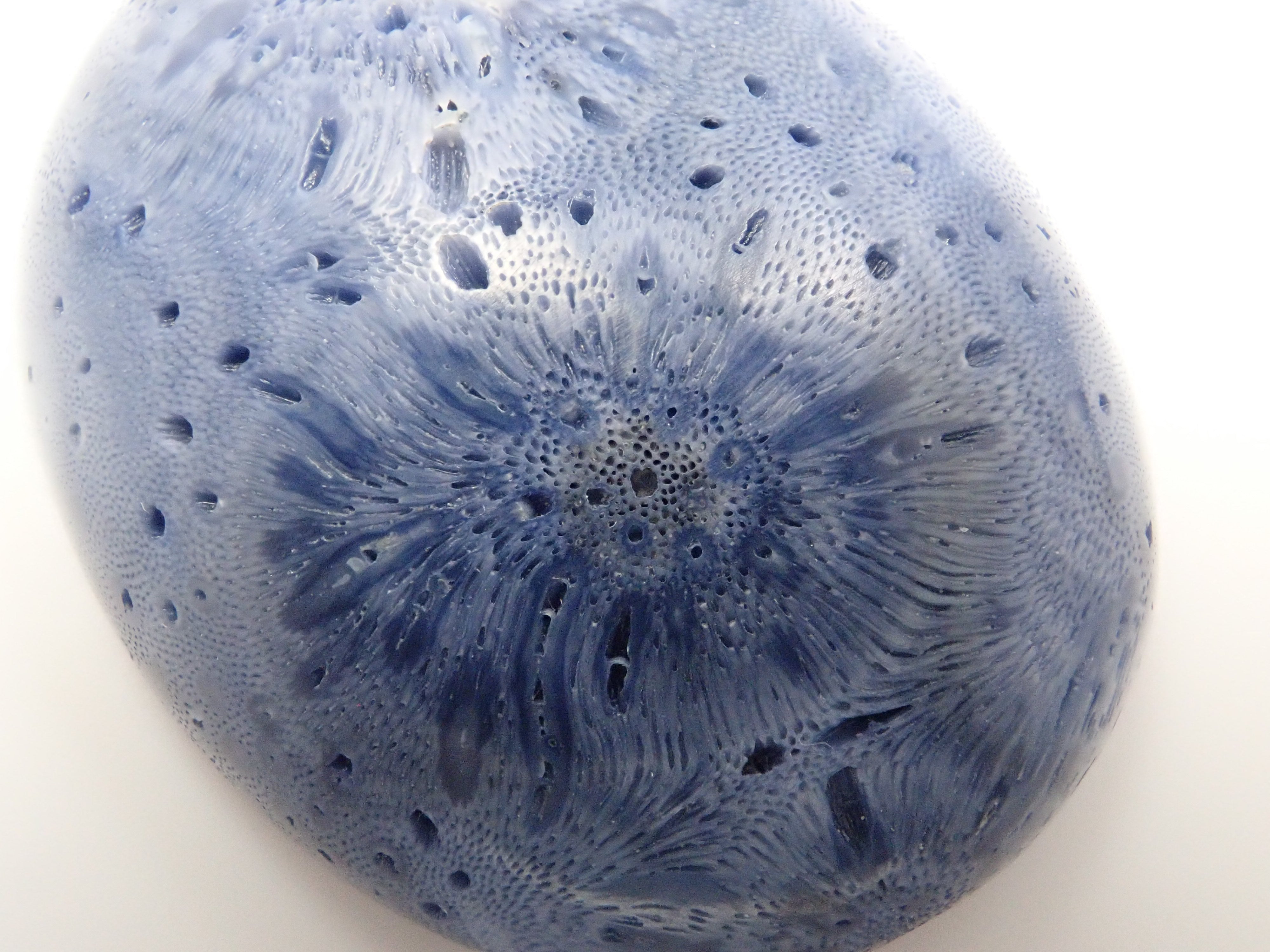 [12/6 22:00 Sale] Blue Coral (75.469ct) Loose Stone