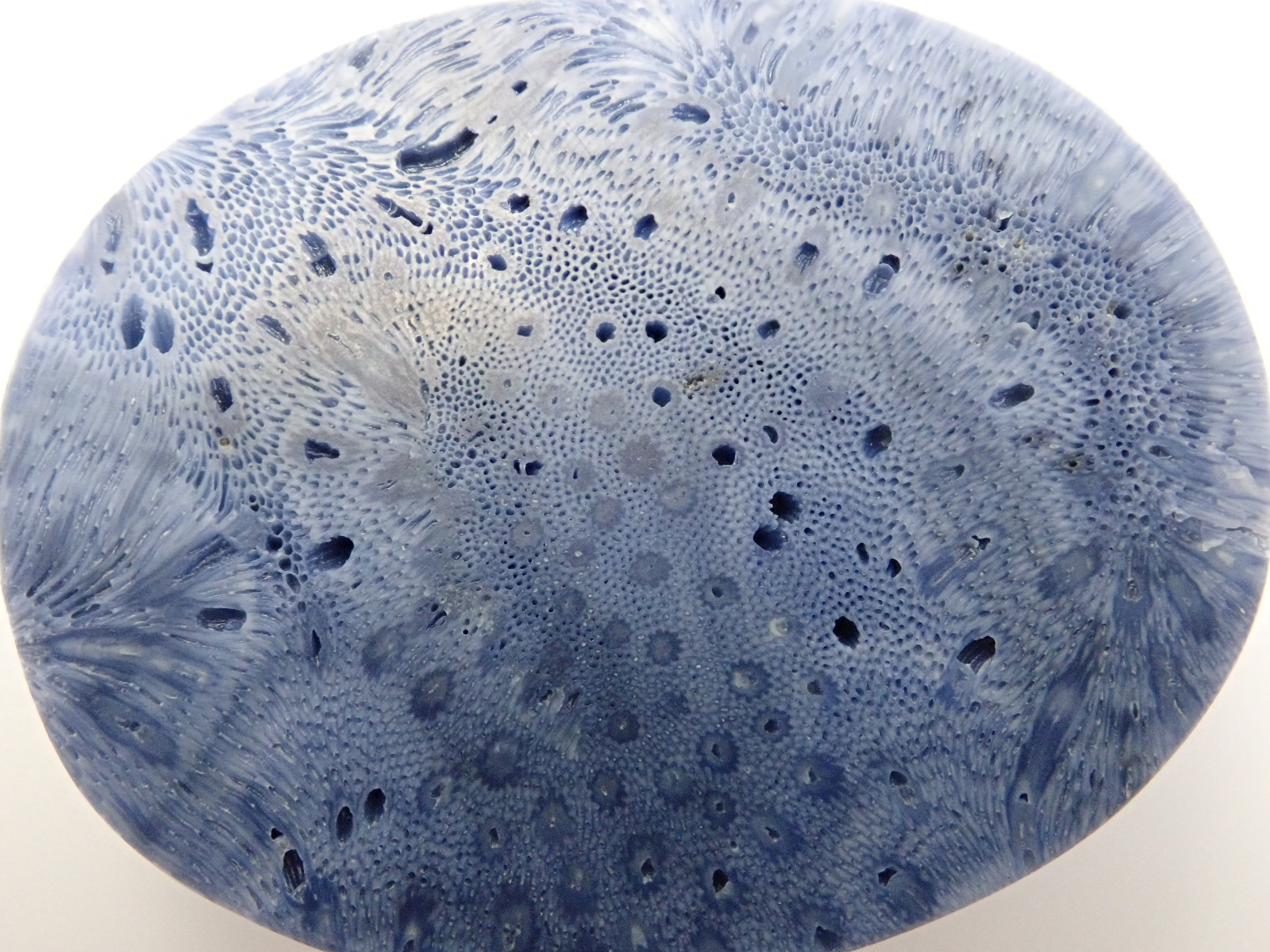 [12/6 22:00 Sale] Blue Coral (75.469ct) Loose Stone