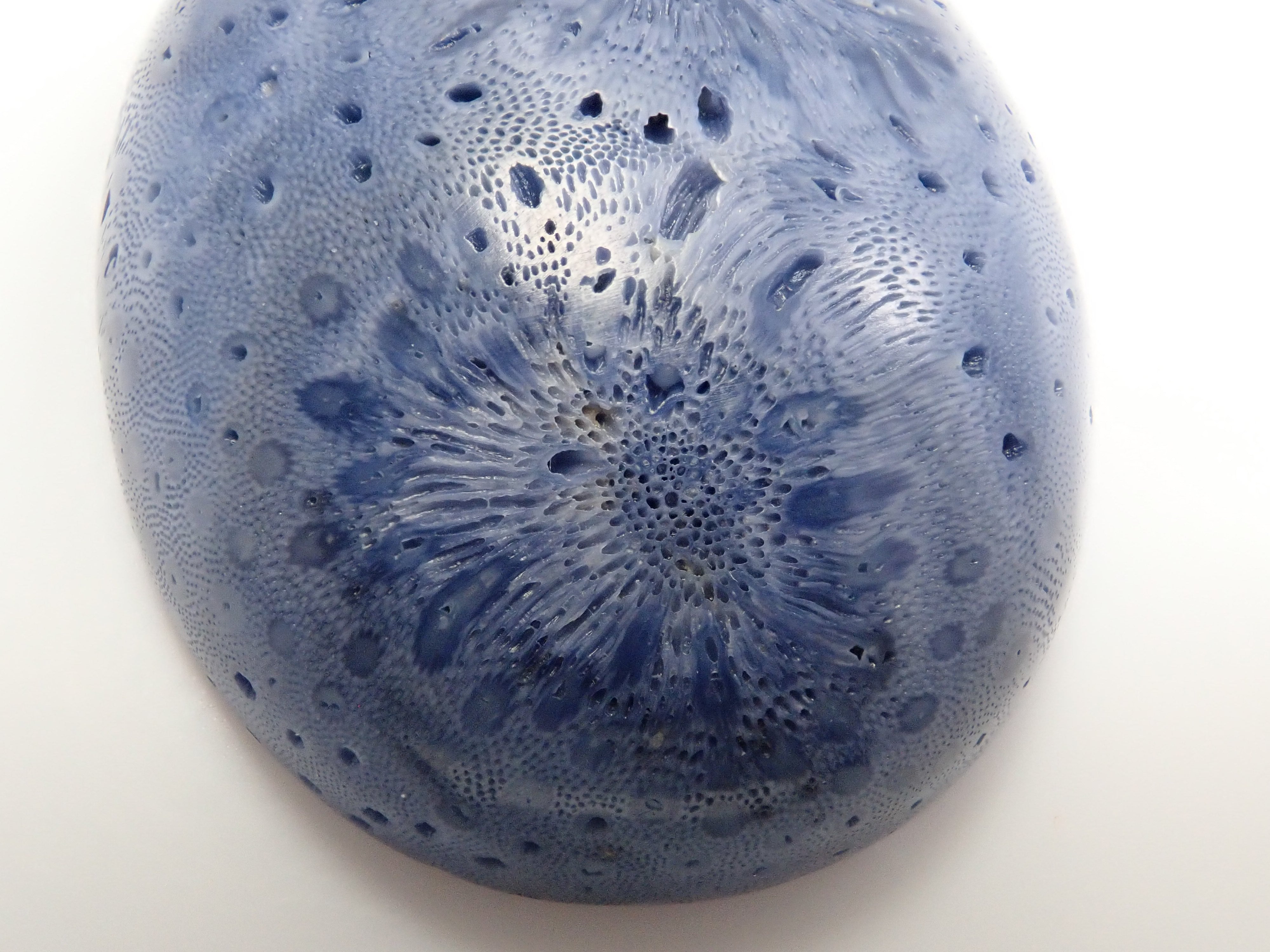 [12/6 22:00 Sale] Blue Coral (75.469ct) Loose Stone