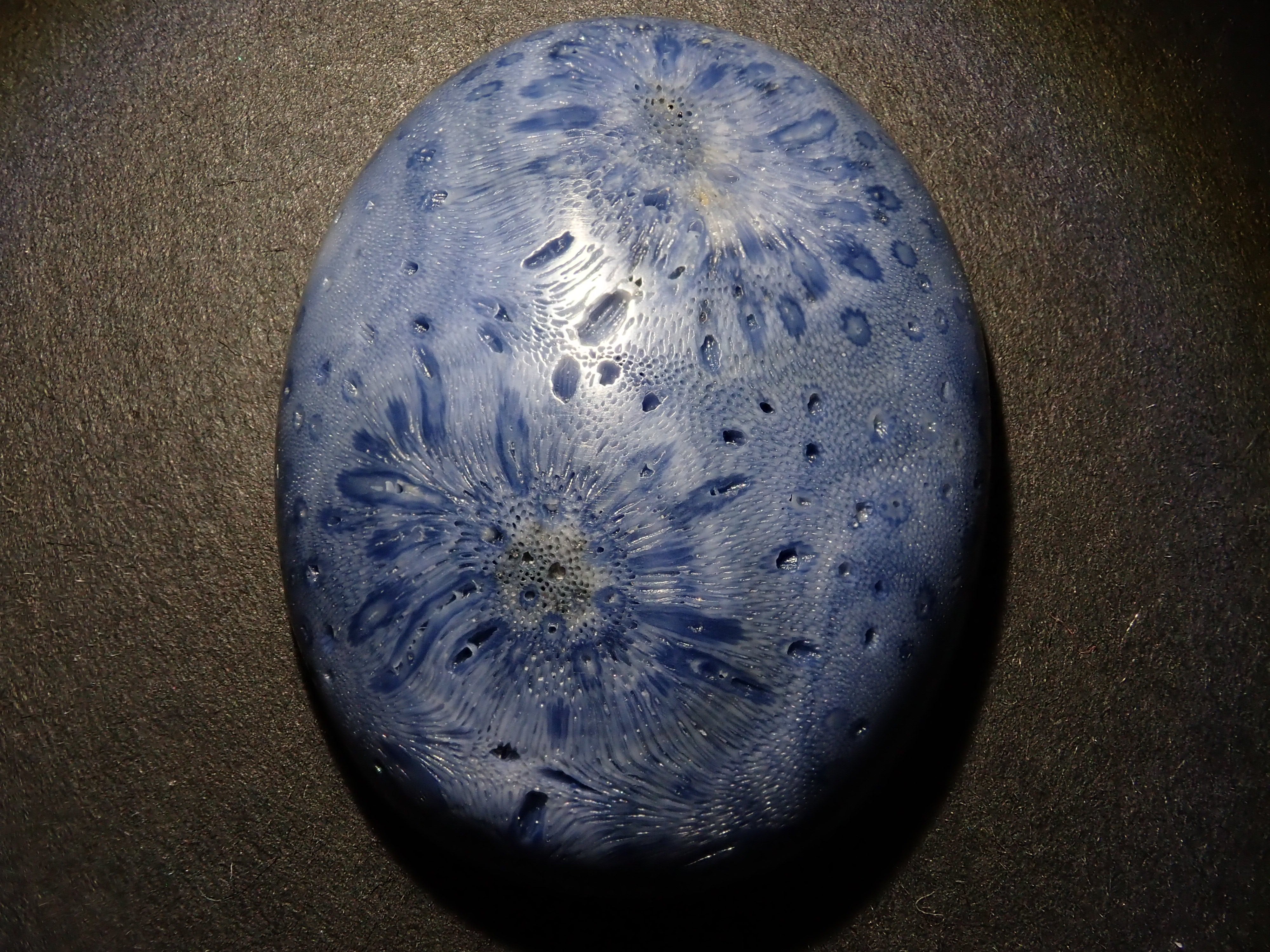 [12/6 22:00 Sale] Blue Coral (75.469ct) Loose Stone