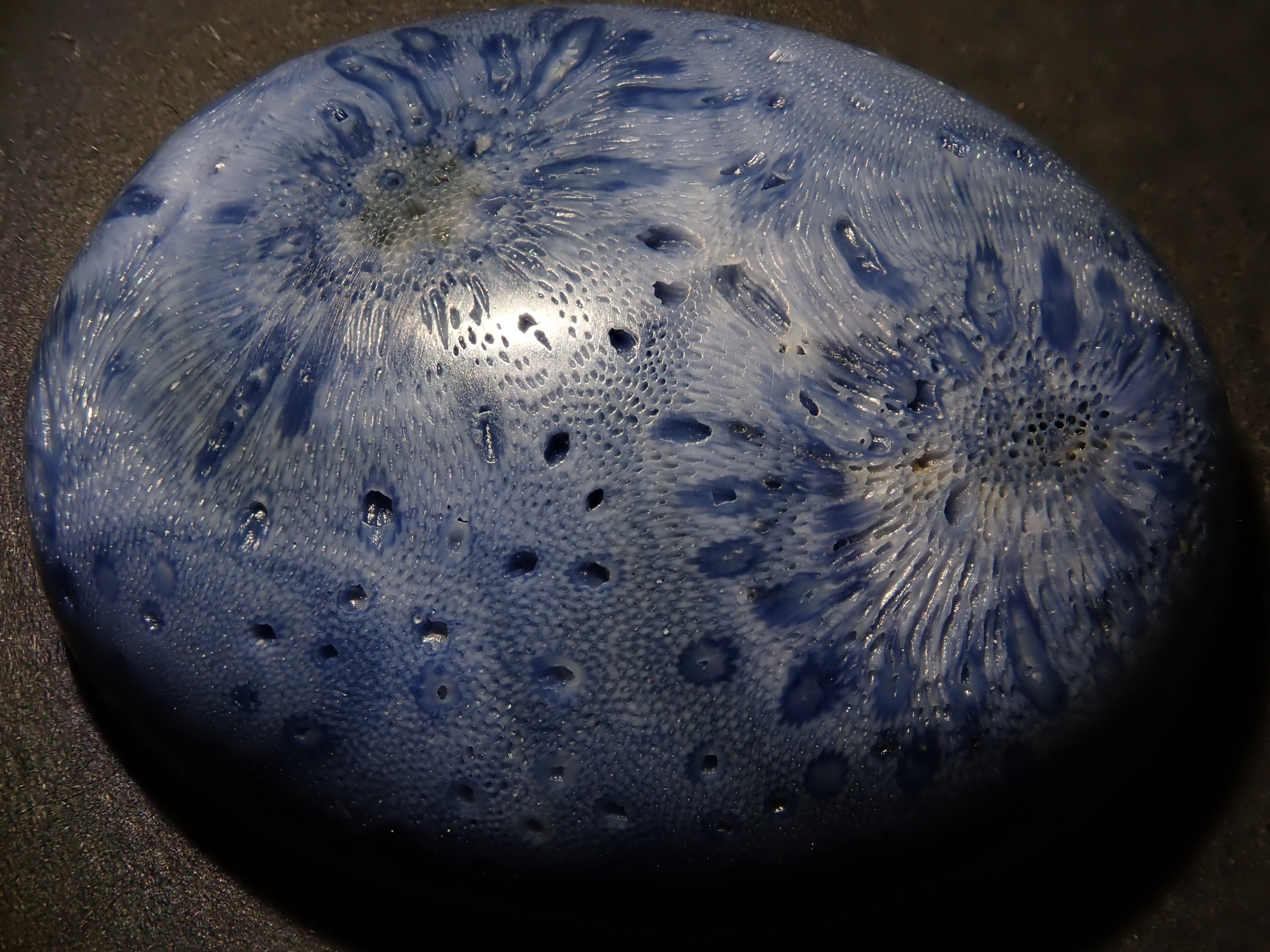 [12/6 22:00 Sale] Blue Coral (75.469ct) Loose Stone