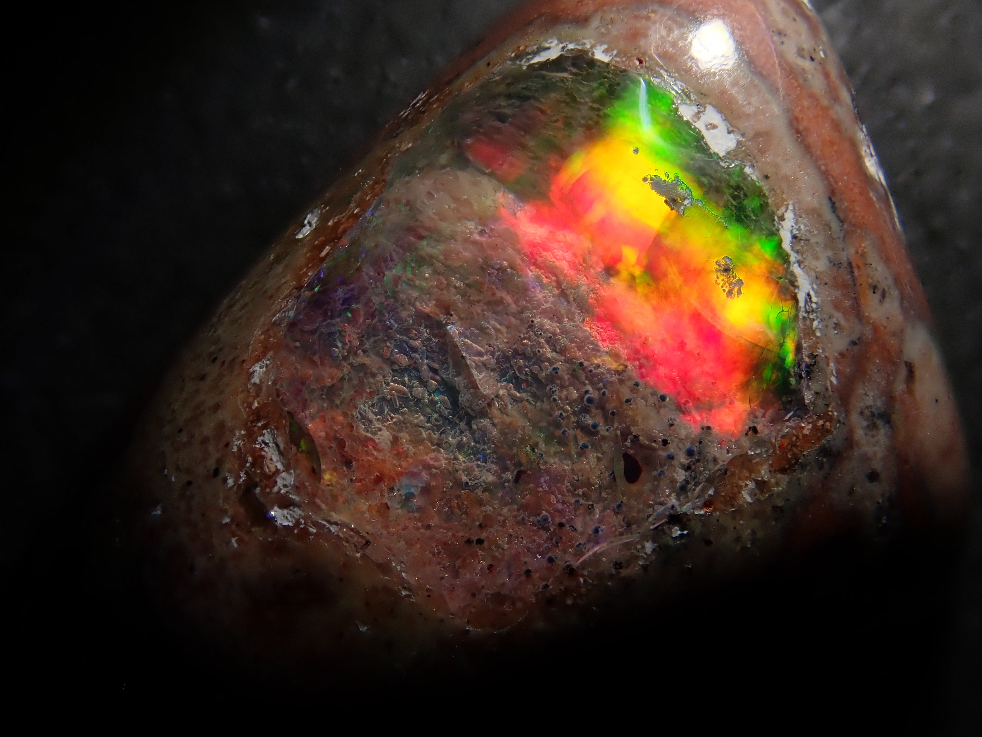 [12561691] Mexican Cantera Opal 8.432ct Loose