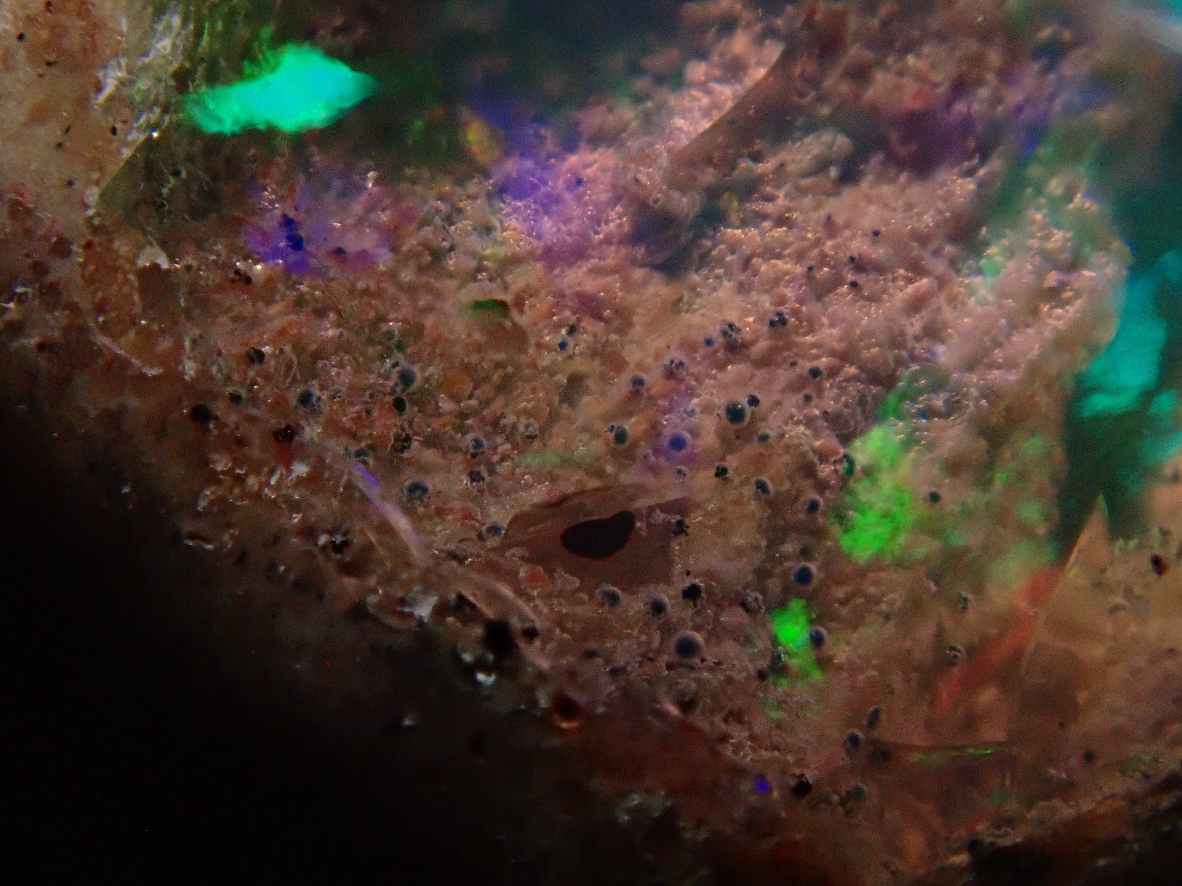 [12561691] Mexican Cantera Opal 8.432ct Loose