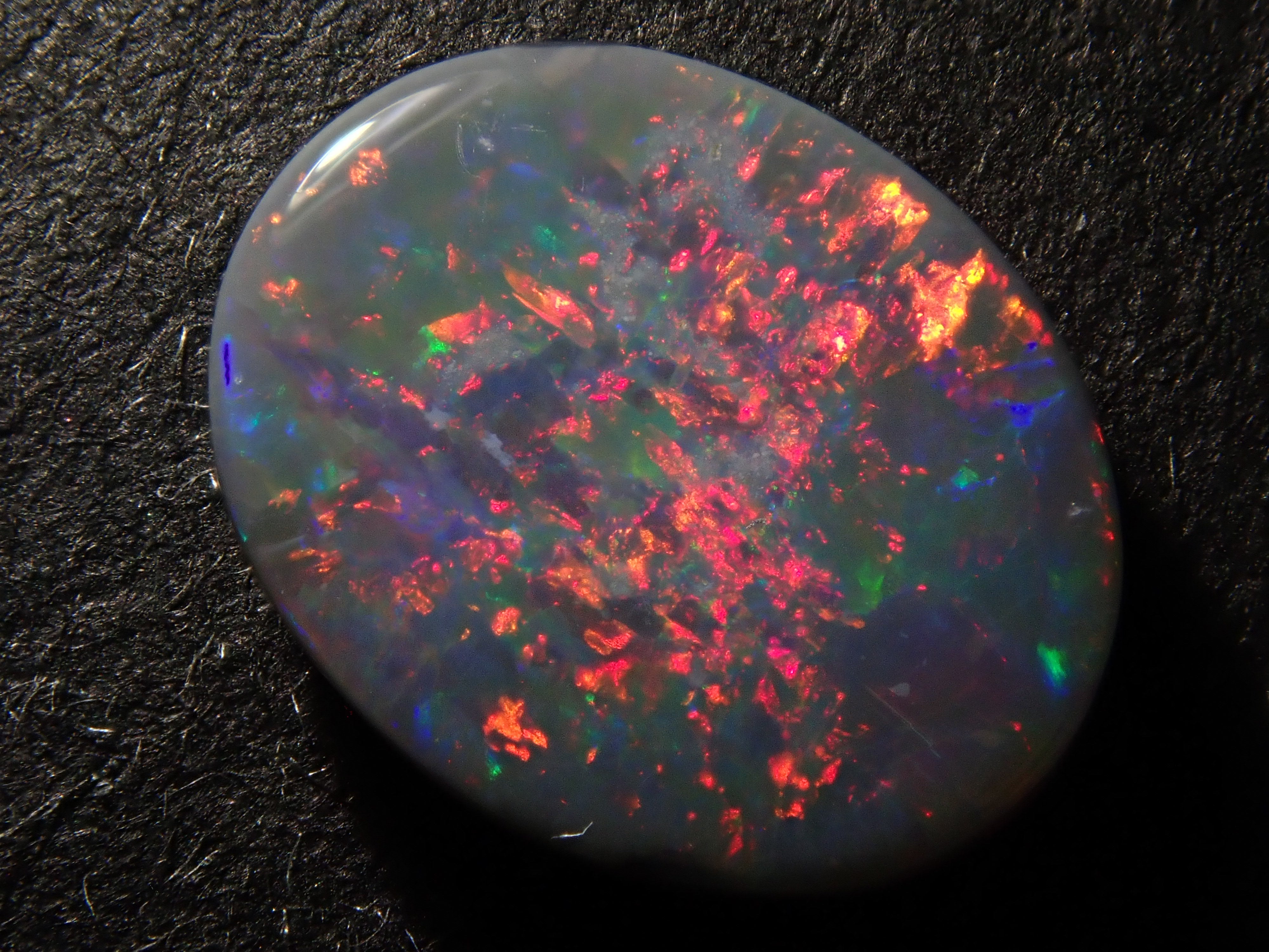 [12561701] 澳洲黑歐泊 0.825克拉 散裝