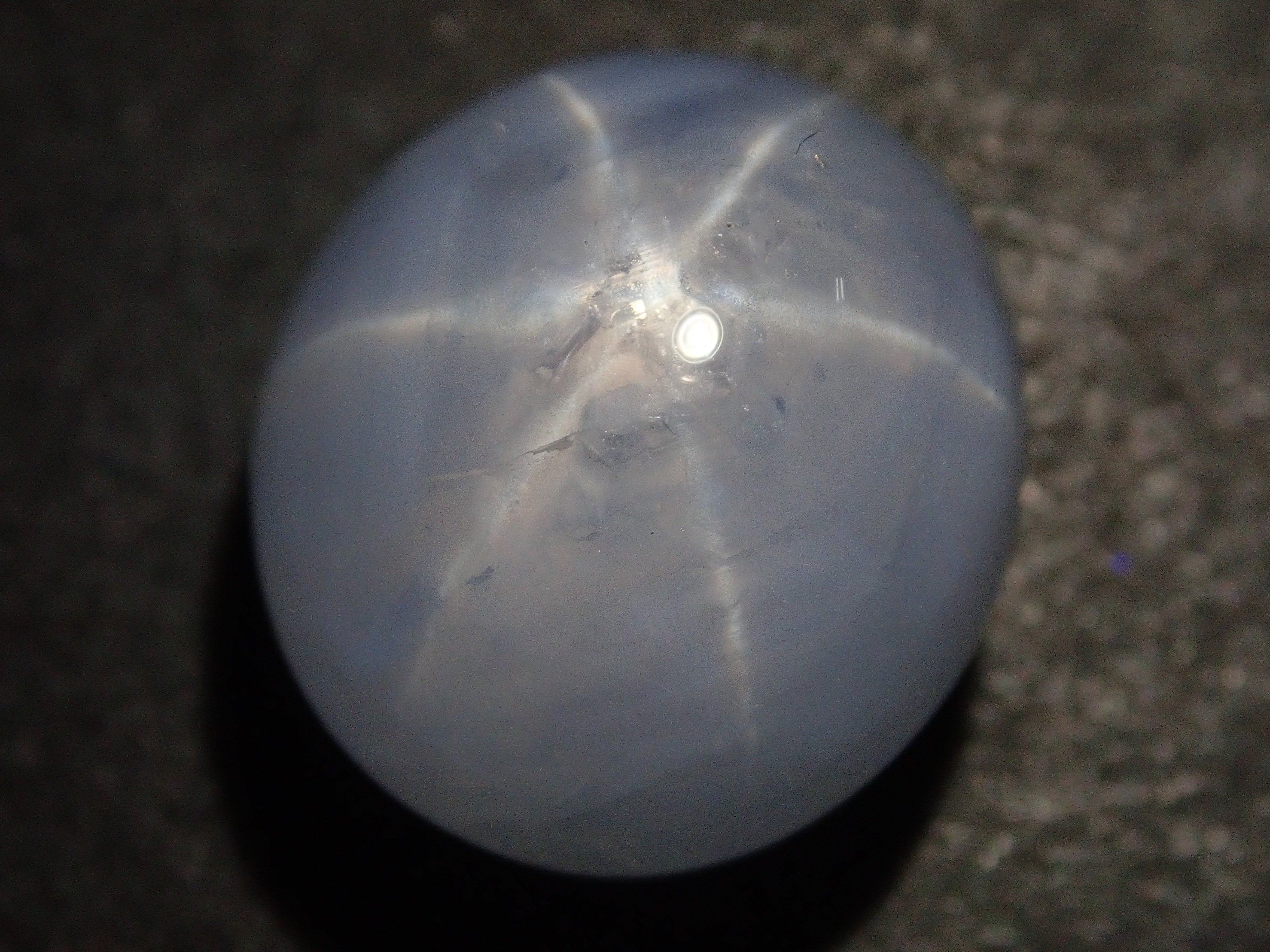 [12561698] Sri Lankan Star Sapphire 11.342ct Loose