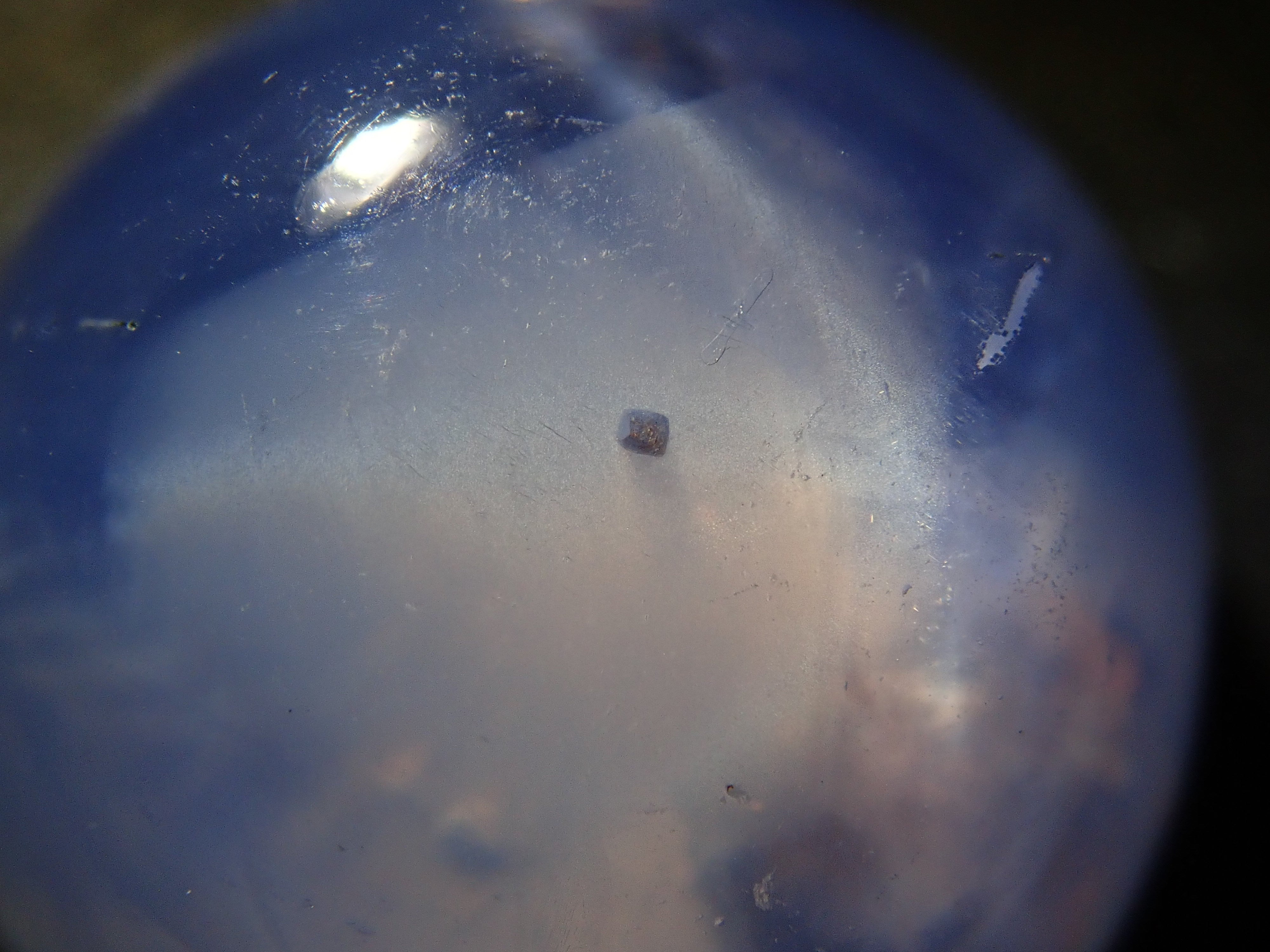 【12/22 22時販売】スリランカ産スターサファイア 12.679ctルース