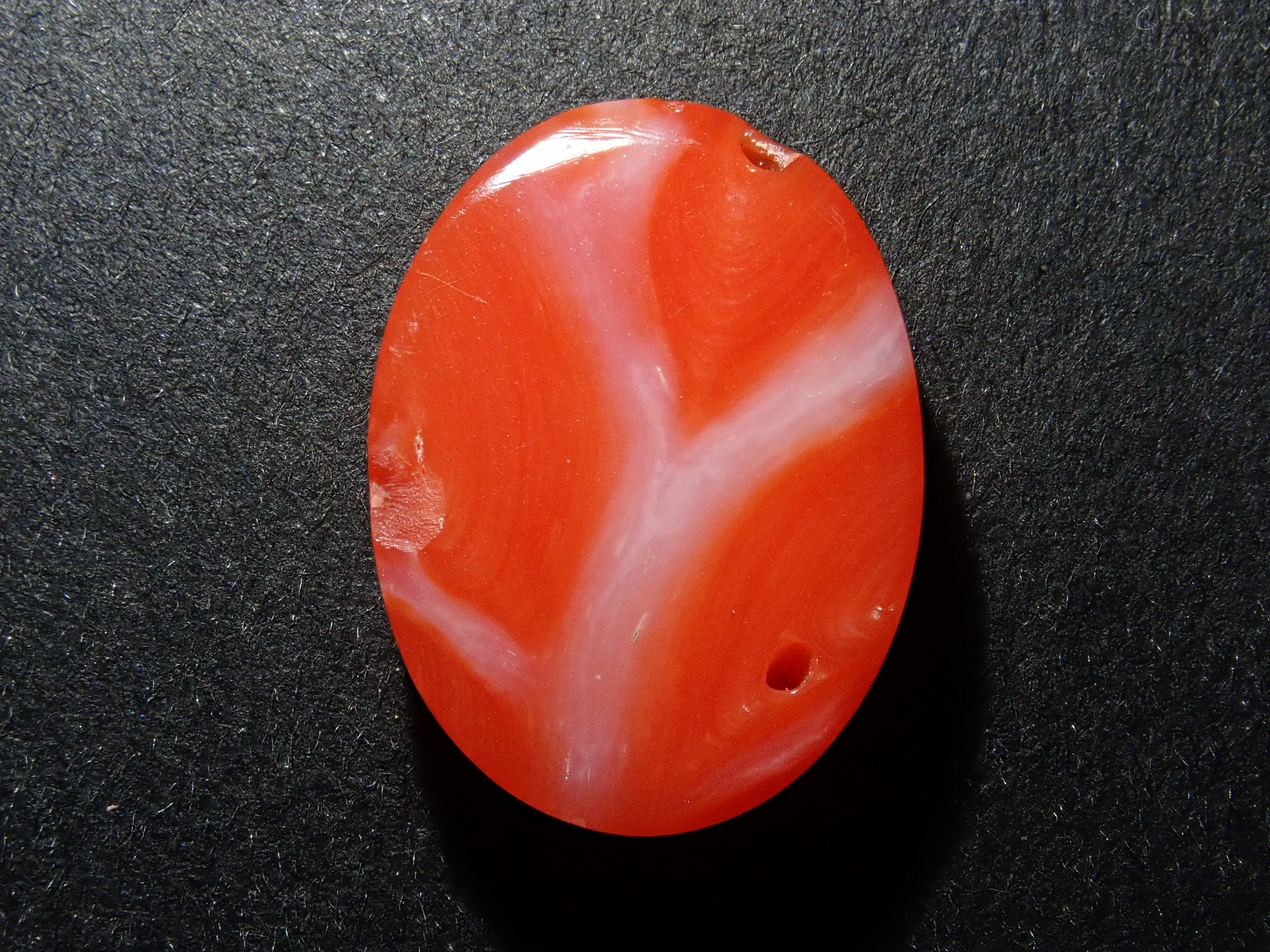 12561717掲載】さんご (珊瑚) 6.833ctルース