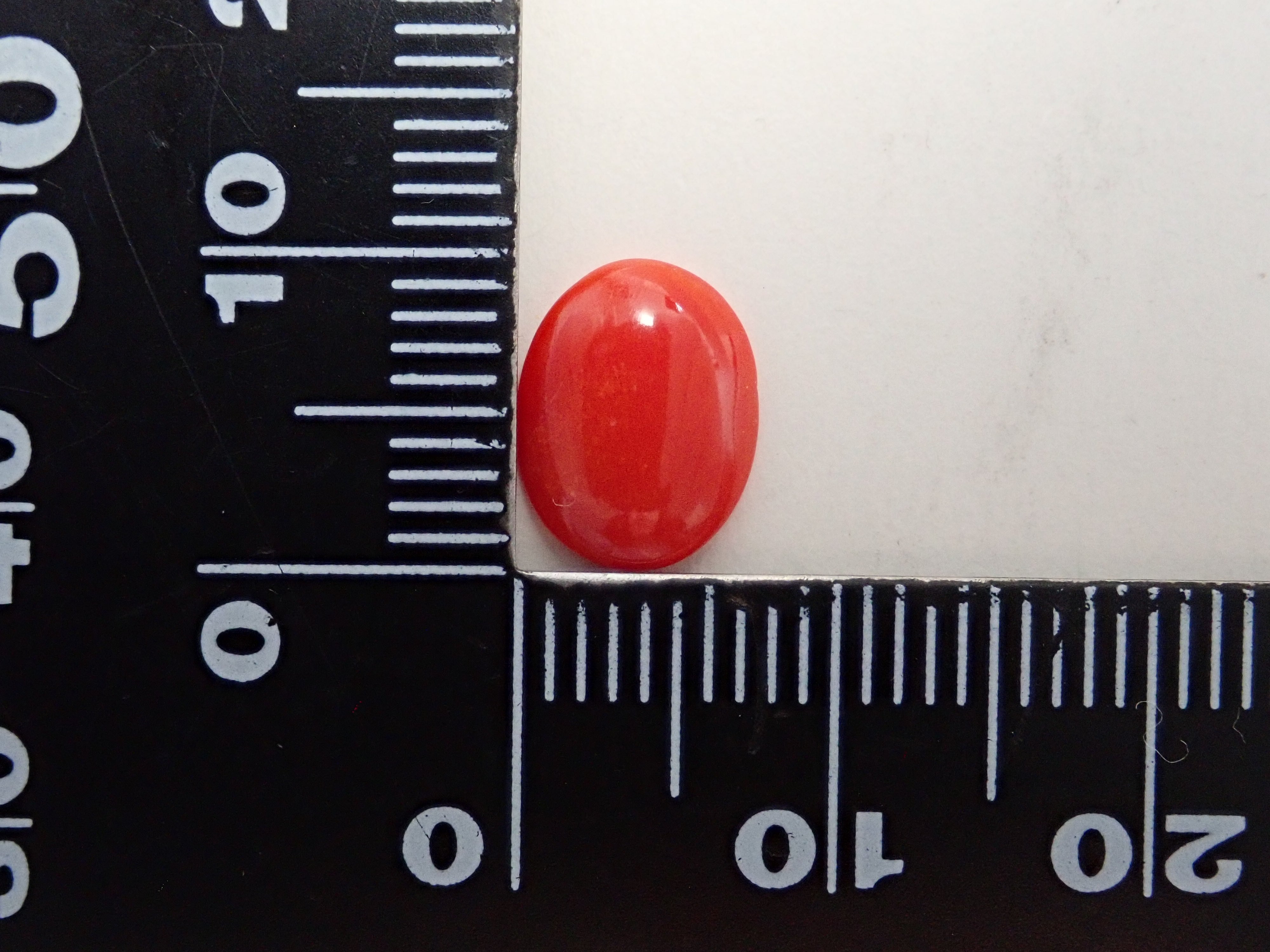 【12/22 22時販売】赤さんご (珊瑚) 1.467ctルース