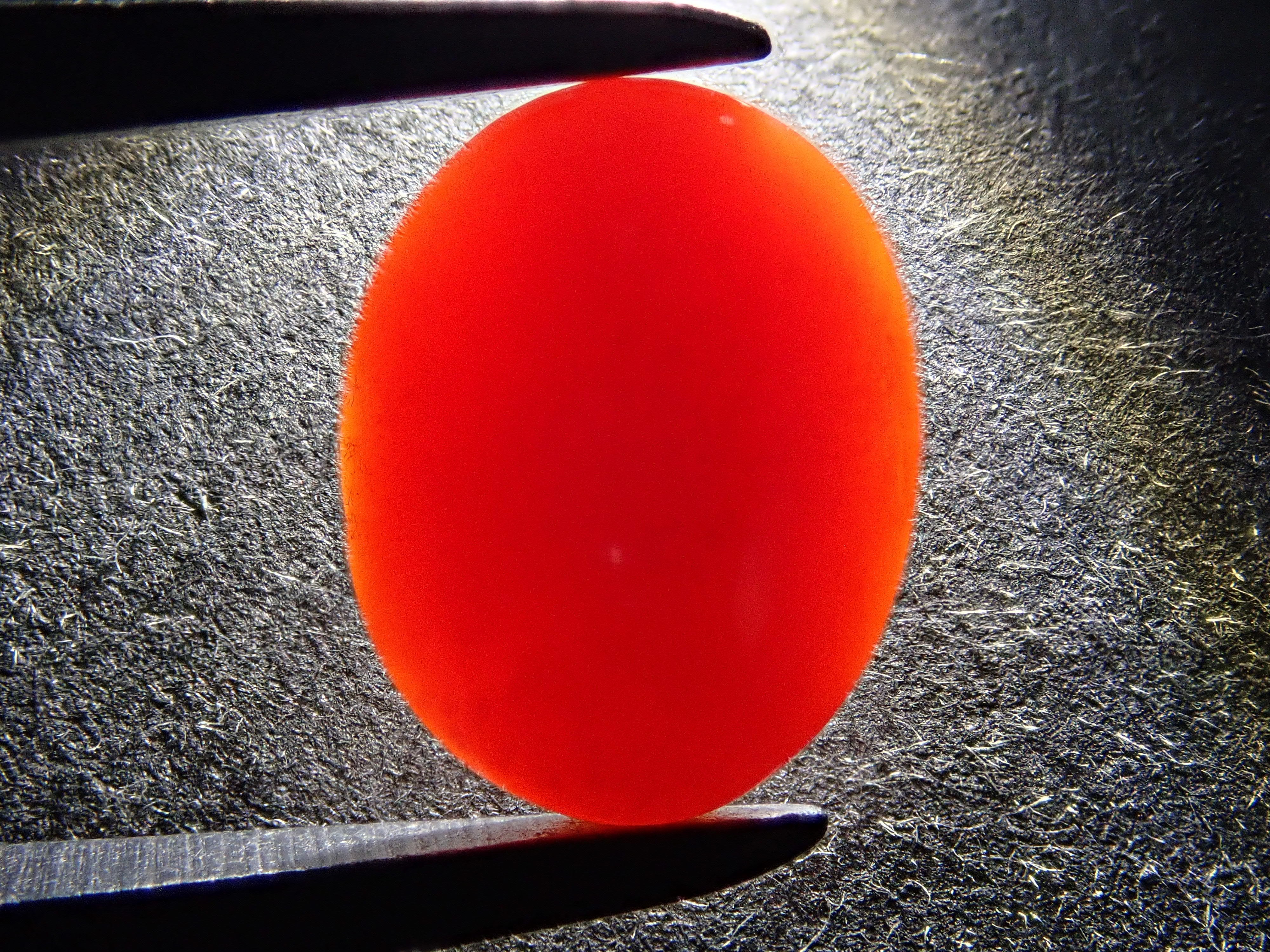 12561718掲載】さんご (珊瑚) 1.467ctルース