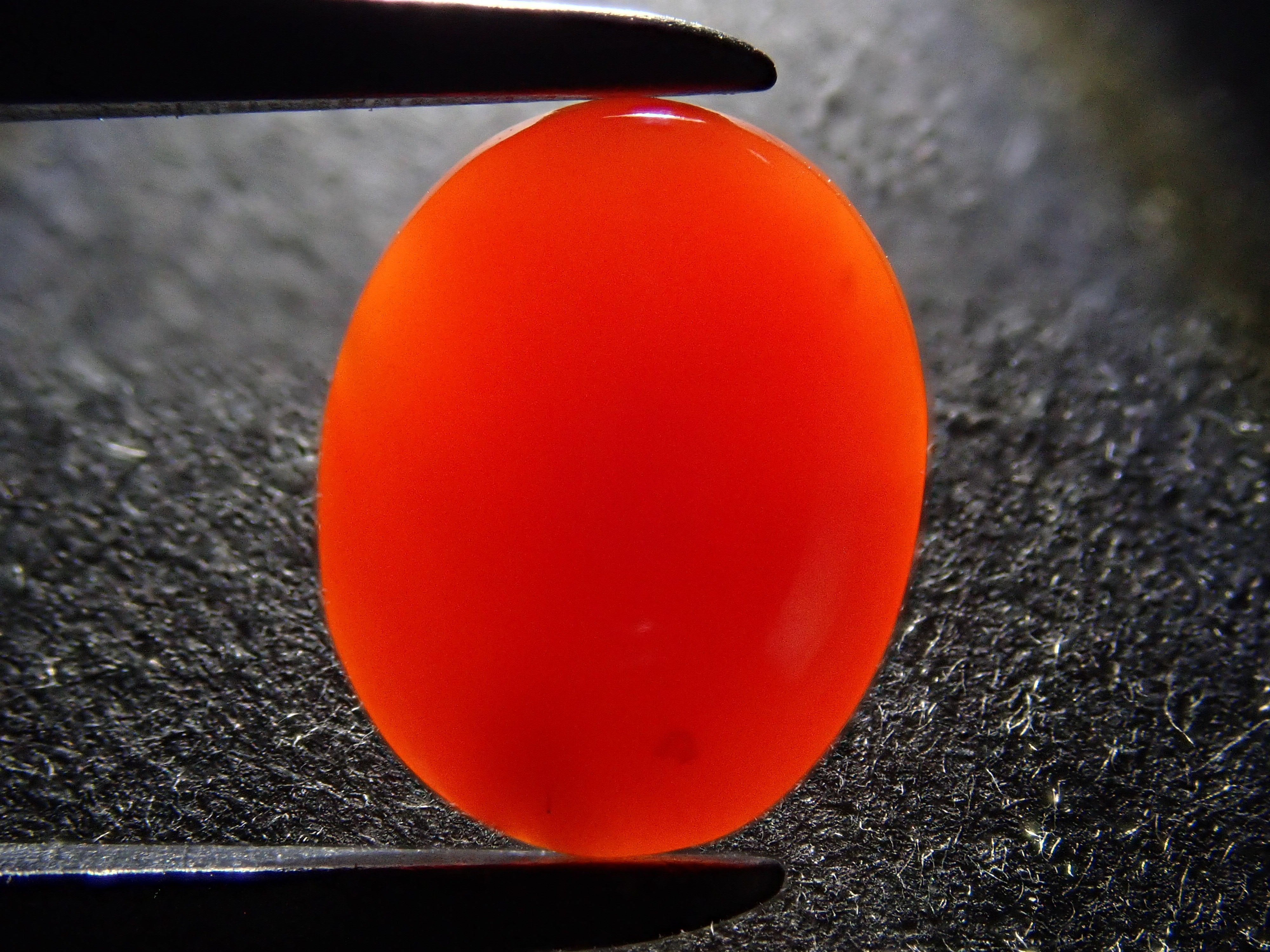 12561719掲載】さんご (珊瑚) 1.406ctルース