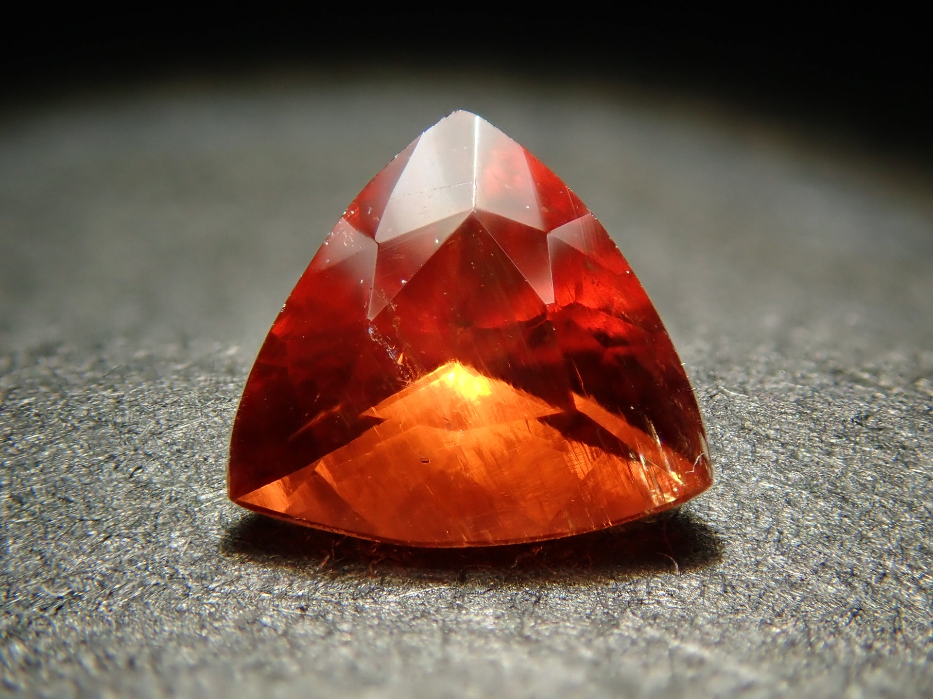 PC121194.jpg?v=1736038103&  