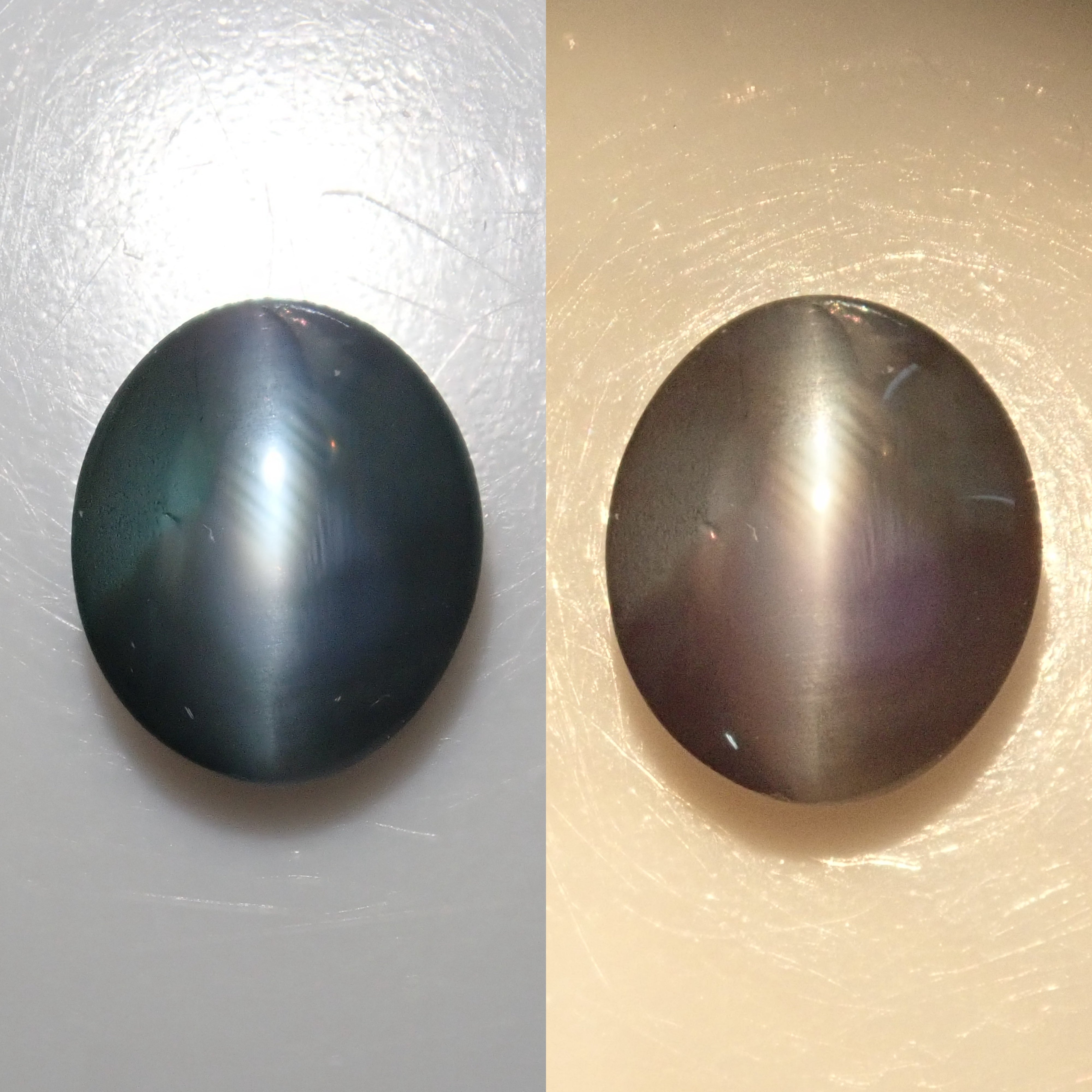 Alexandrite cat's eye from Sri Lanka 0.791ct loose Japanese-German edition