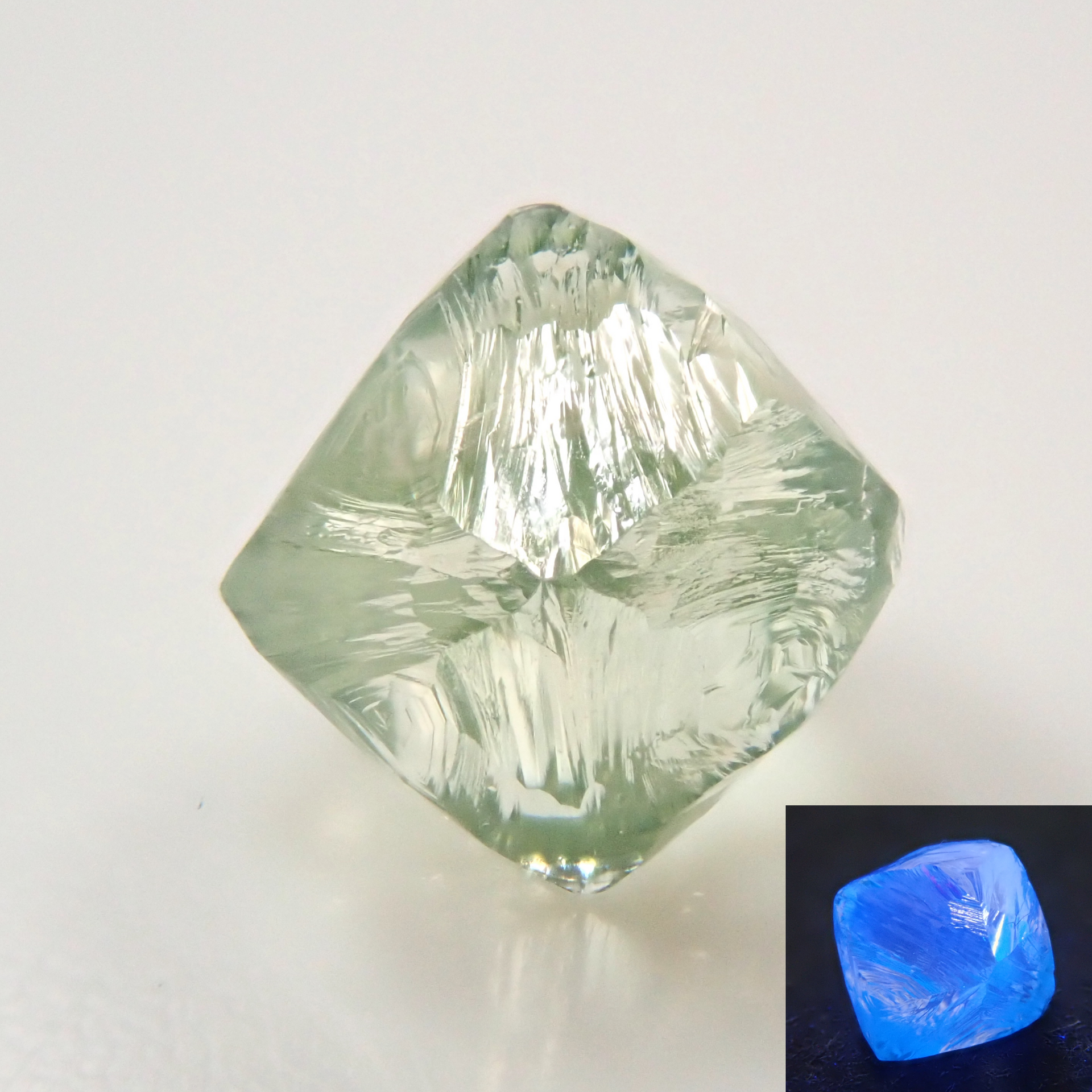 collage_41437cf3-a39a-44bd-