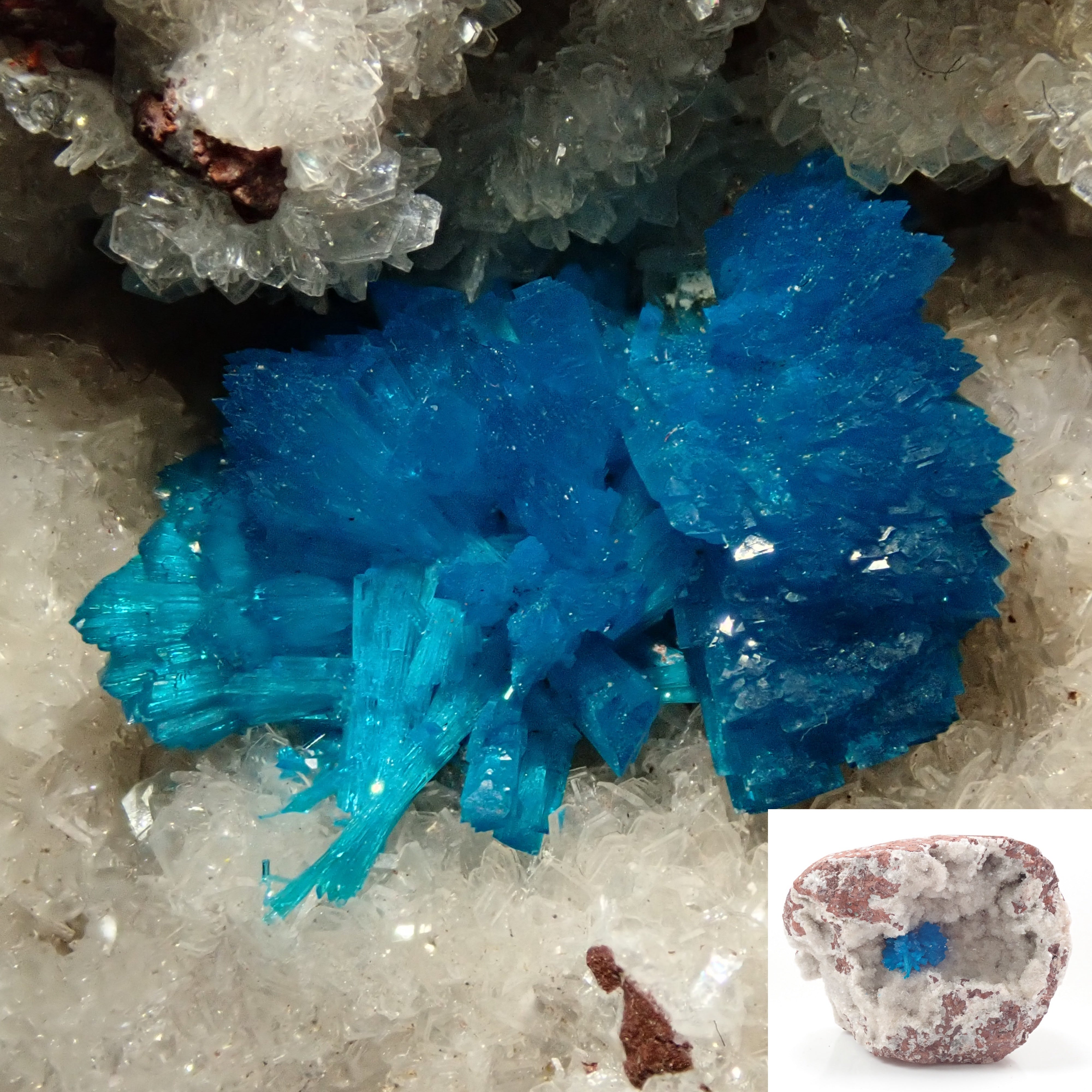 1055.5ct Indian Cavansite Rough Stone